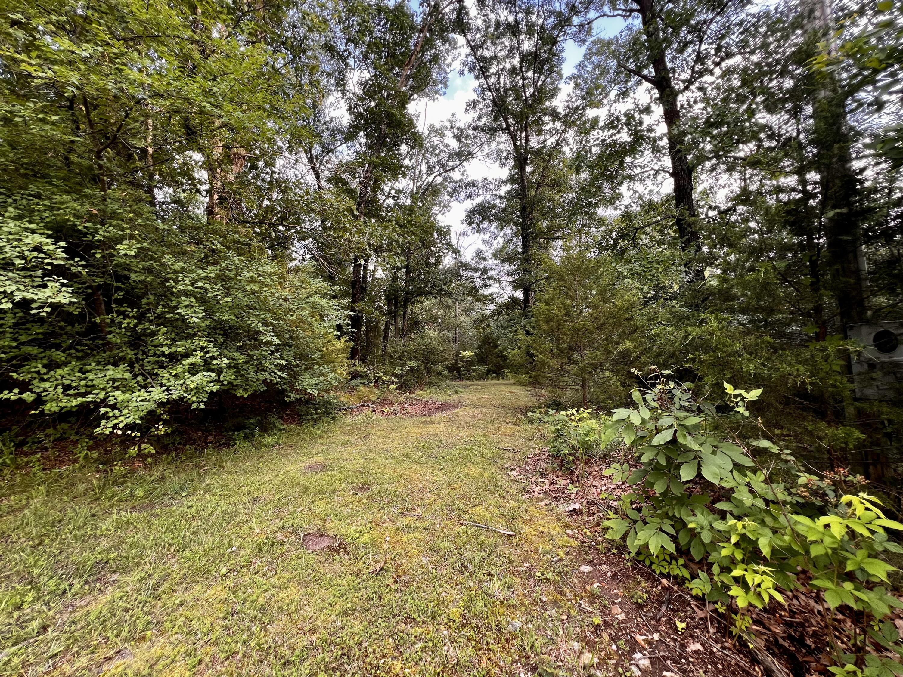 main property photo 8