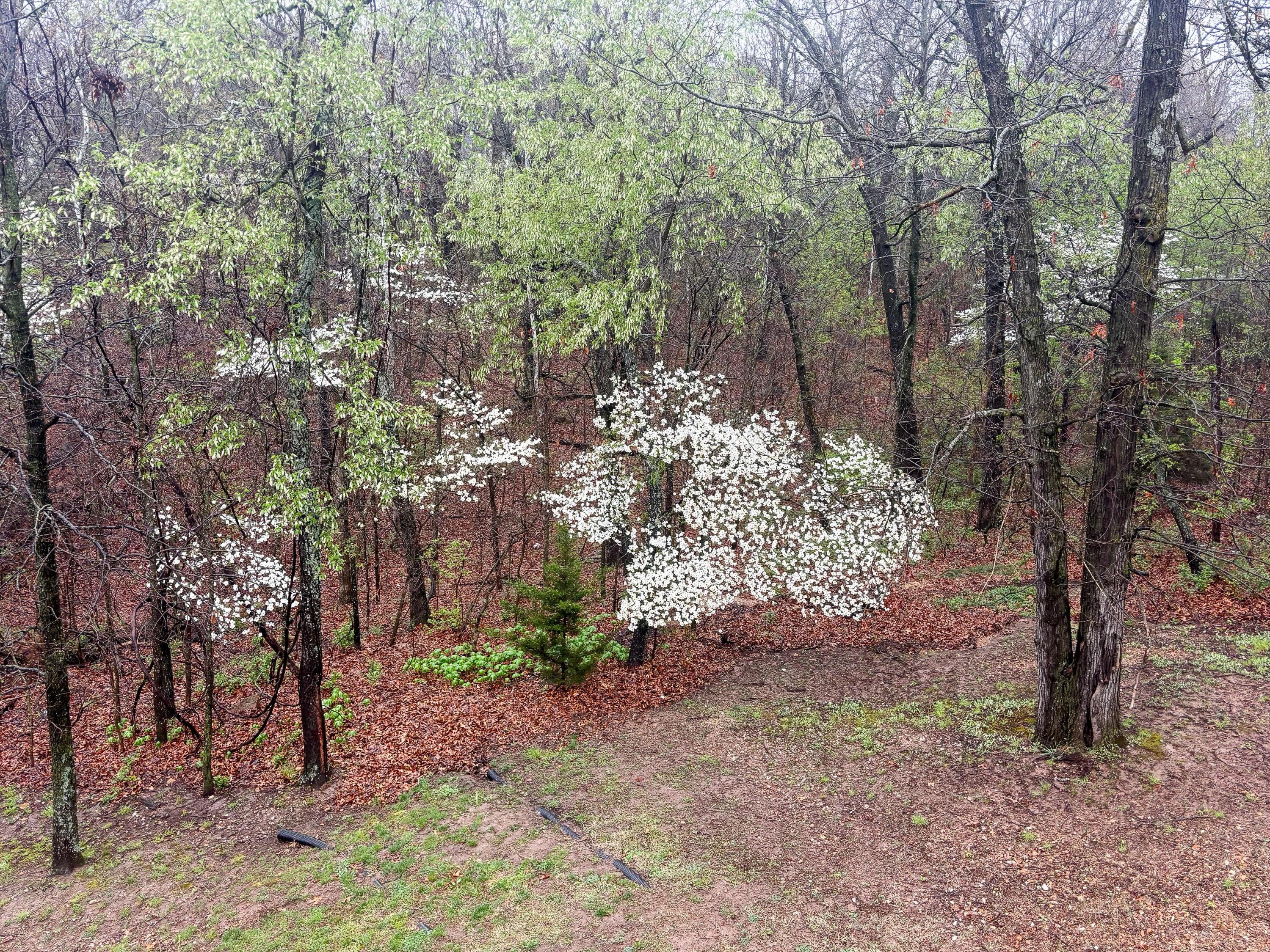 main property photo 74