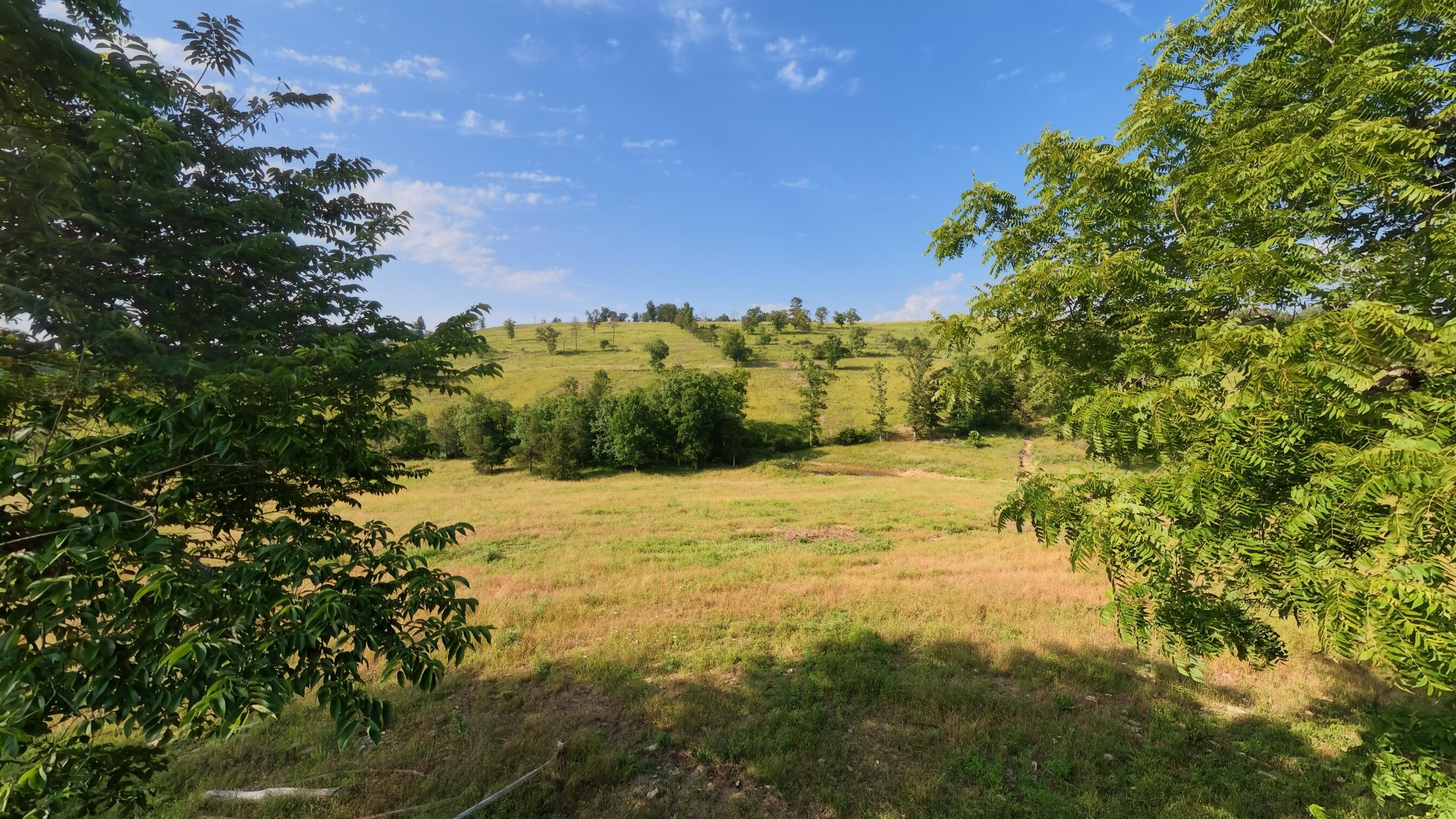 main property photo 88