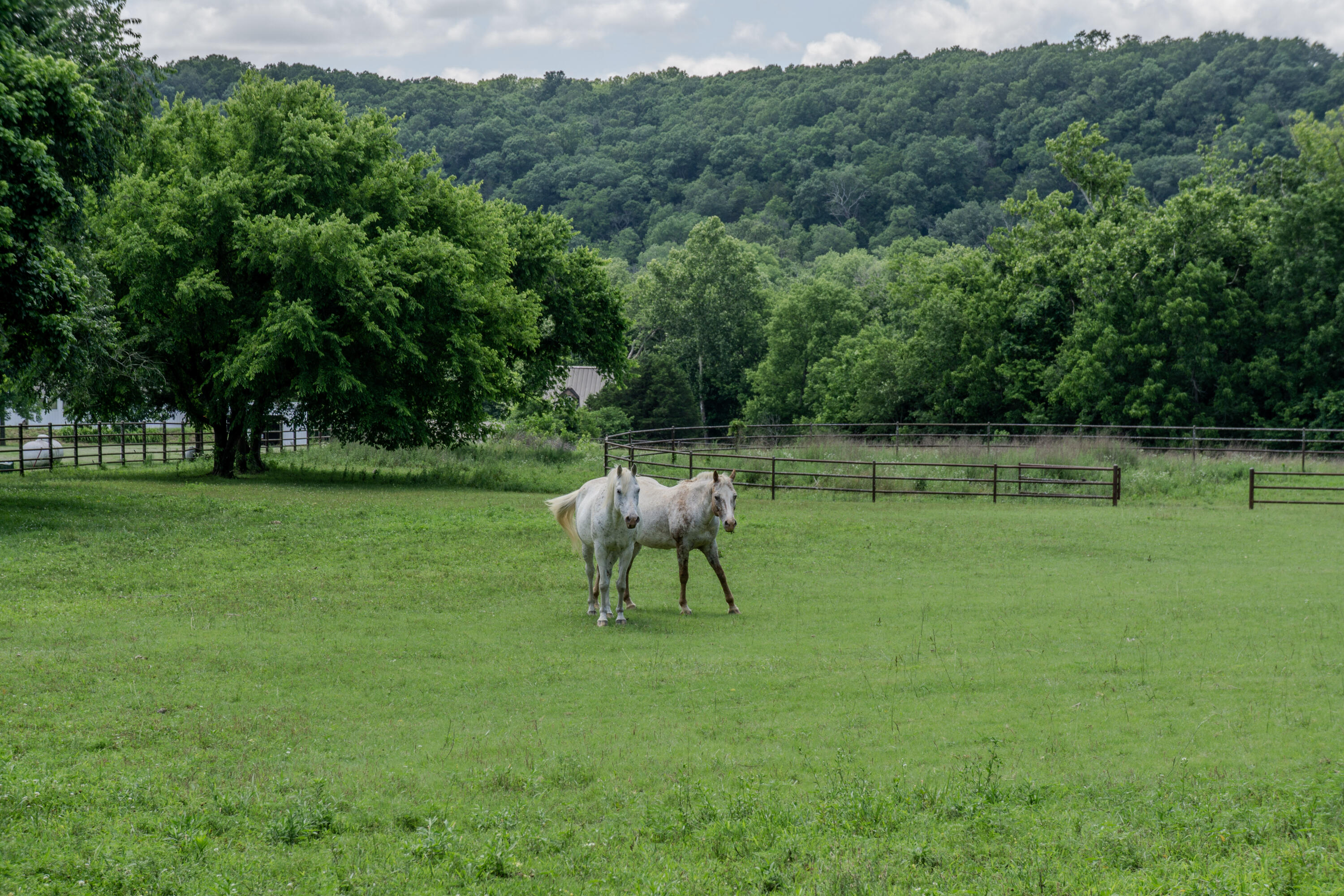 main property photo 76