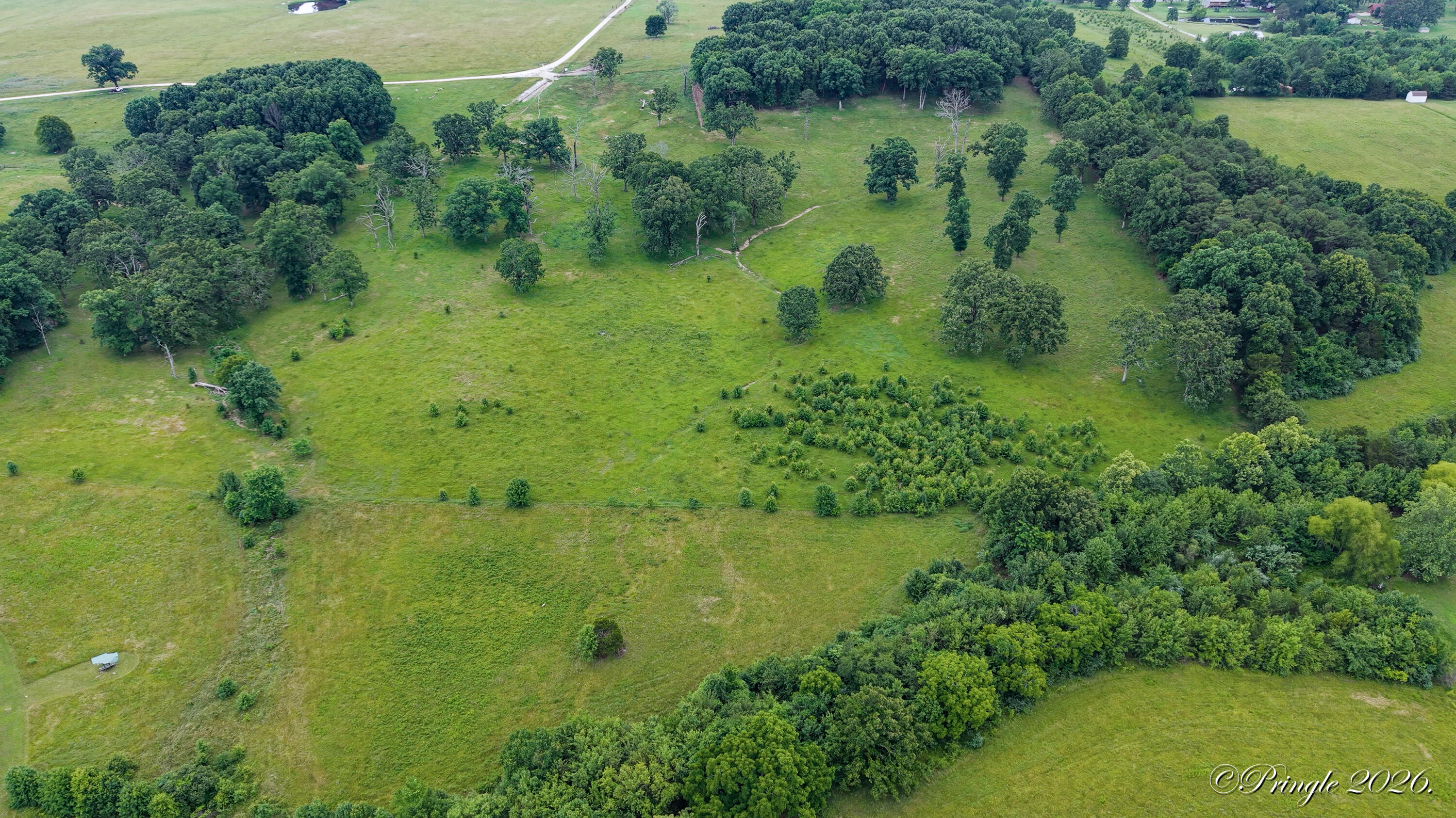 main property photo 14