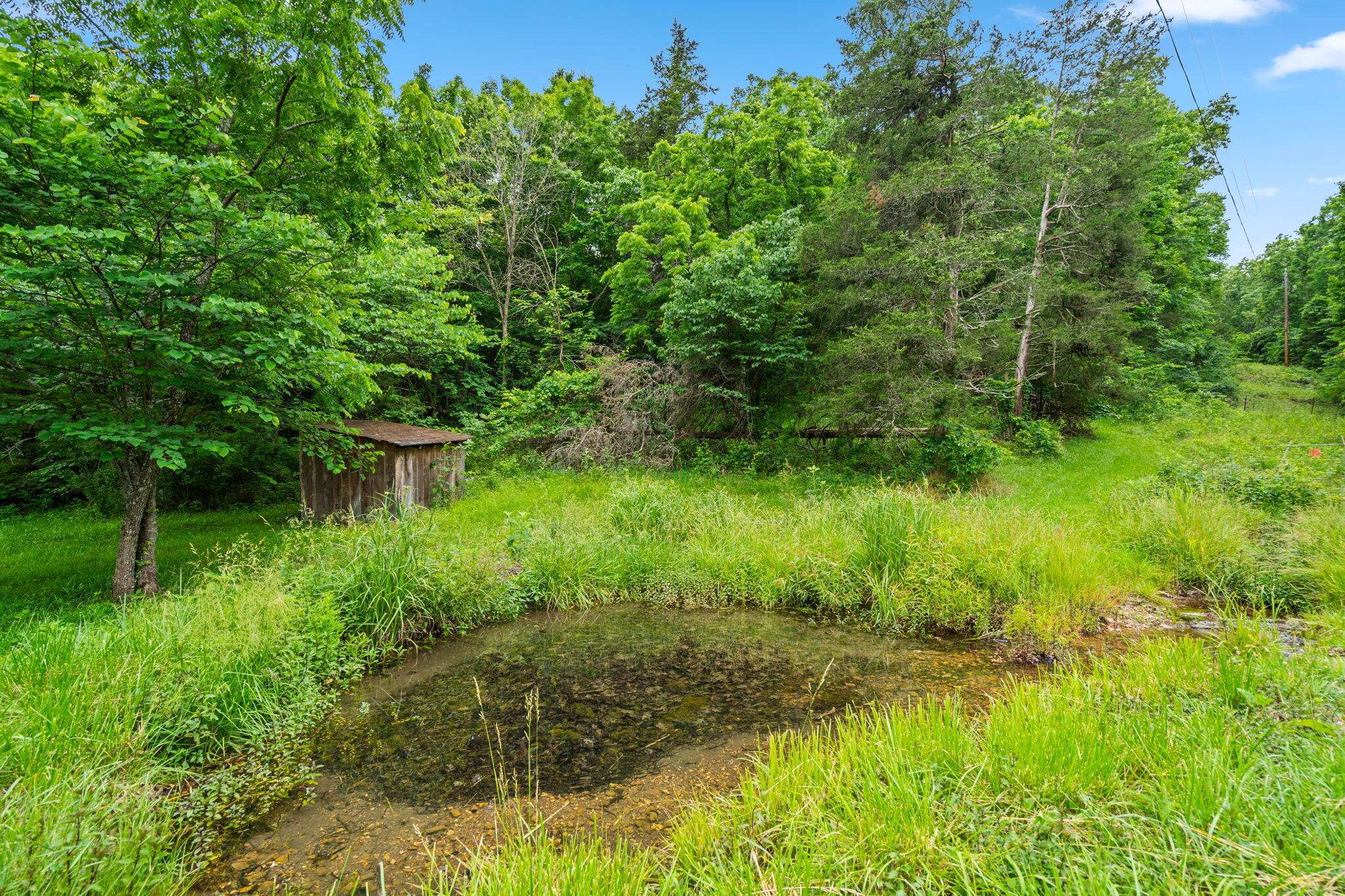 main property photo 13