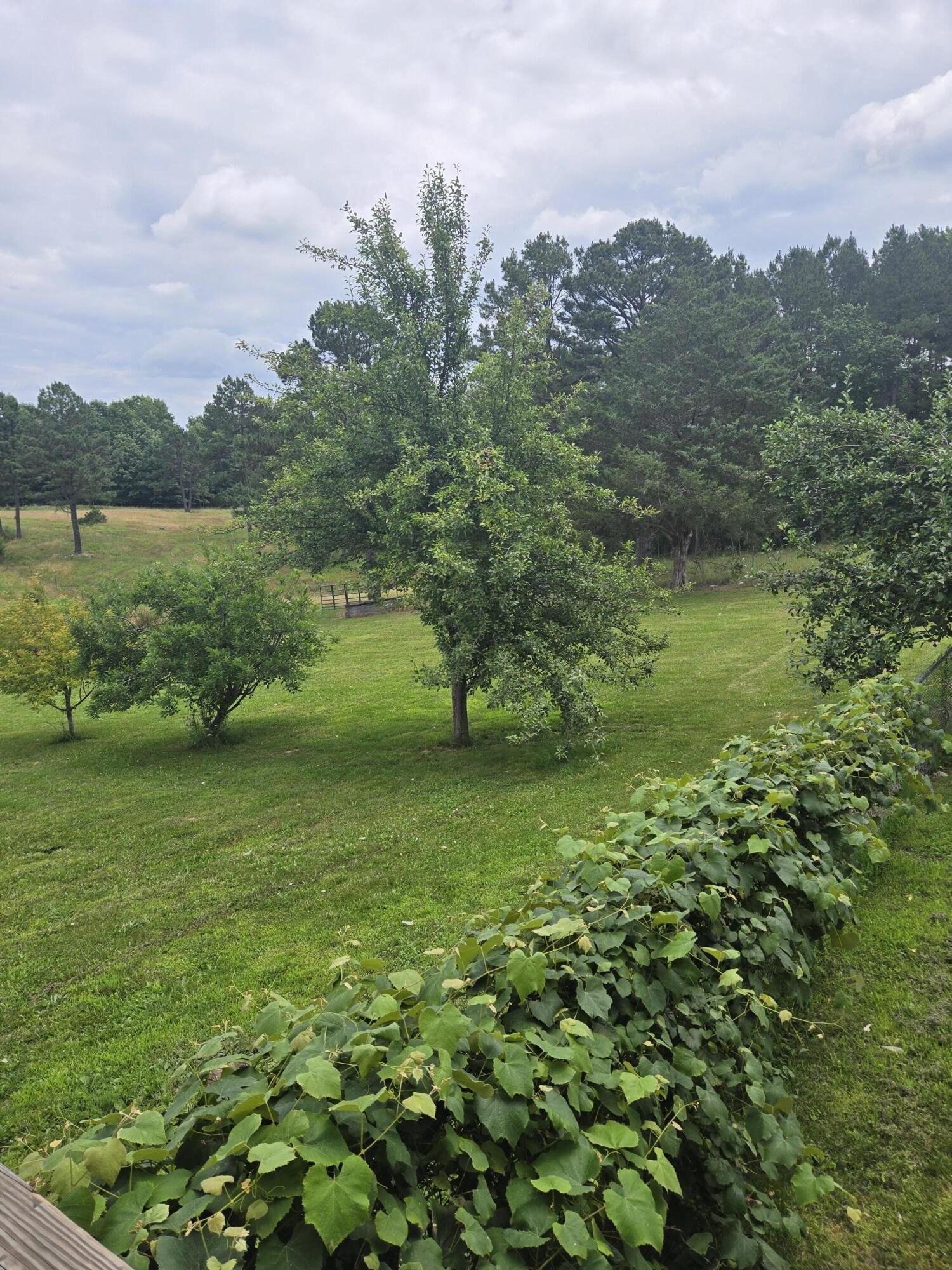 main property photo 57