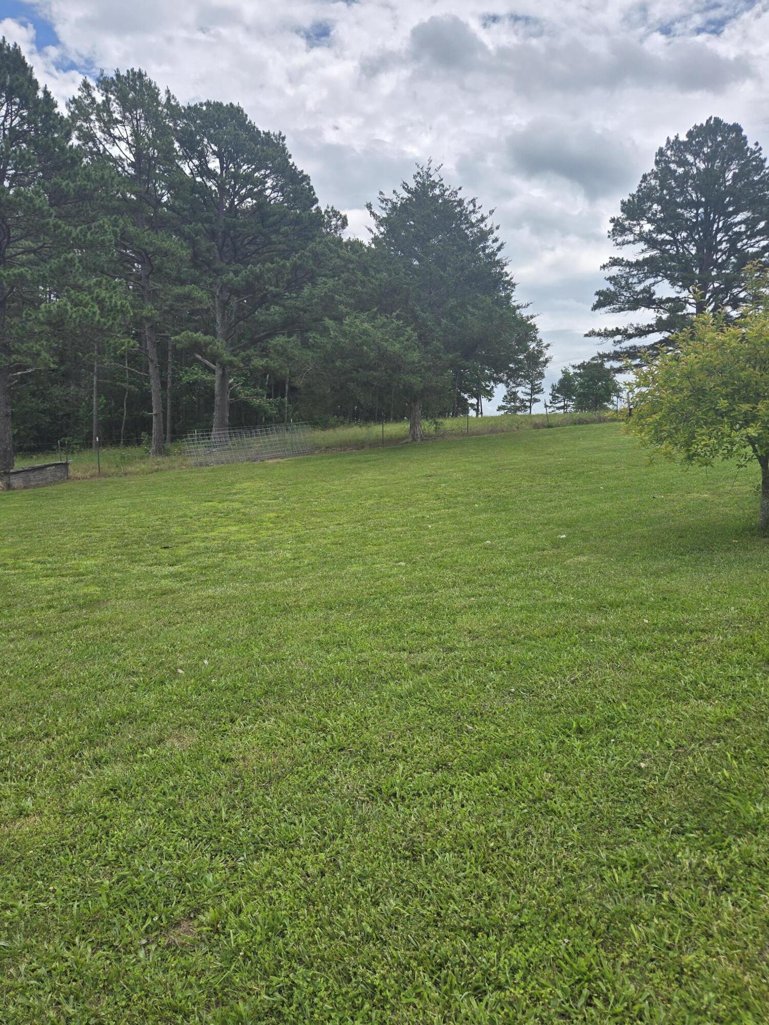 main property photo 82