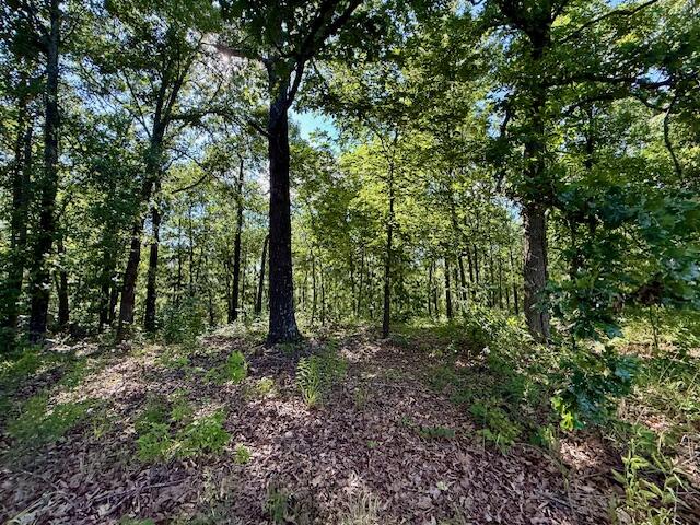 main property photo 38