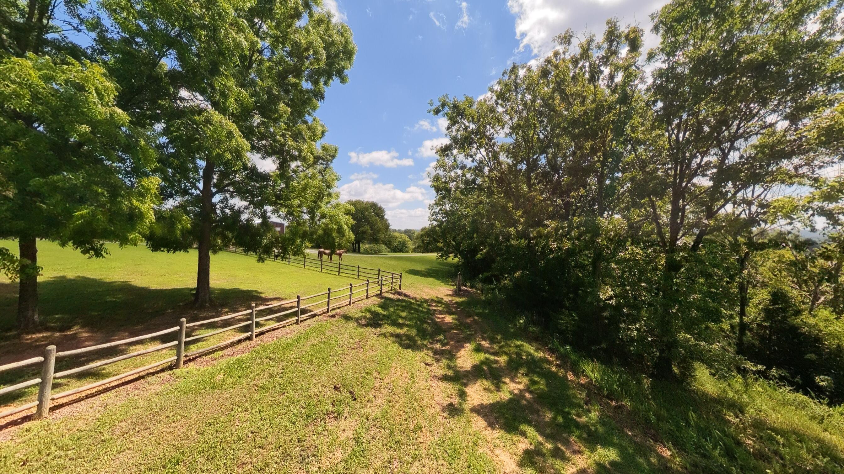 main property photo 99