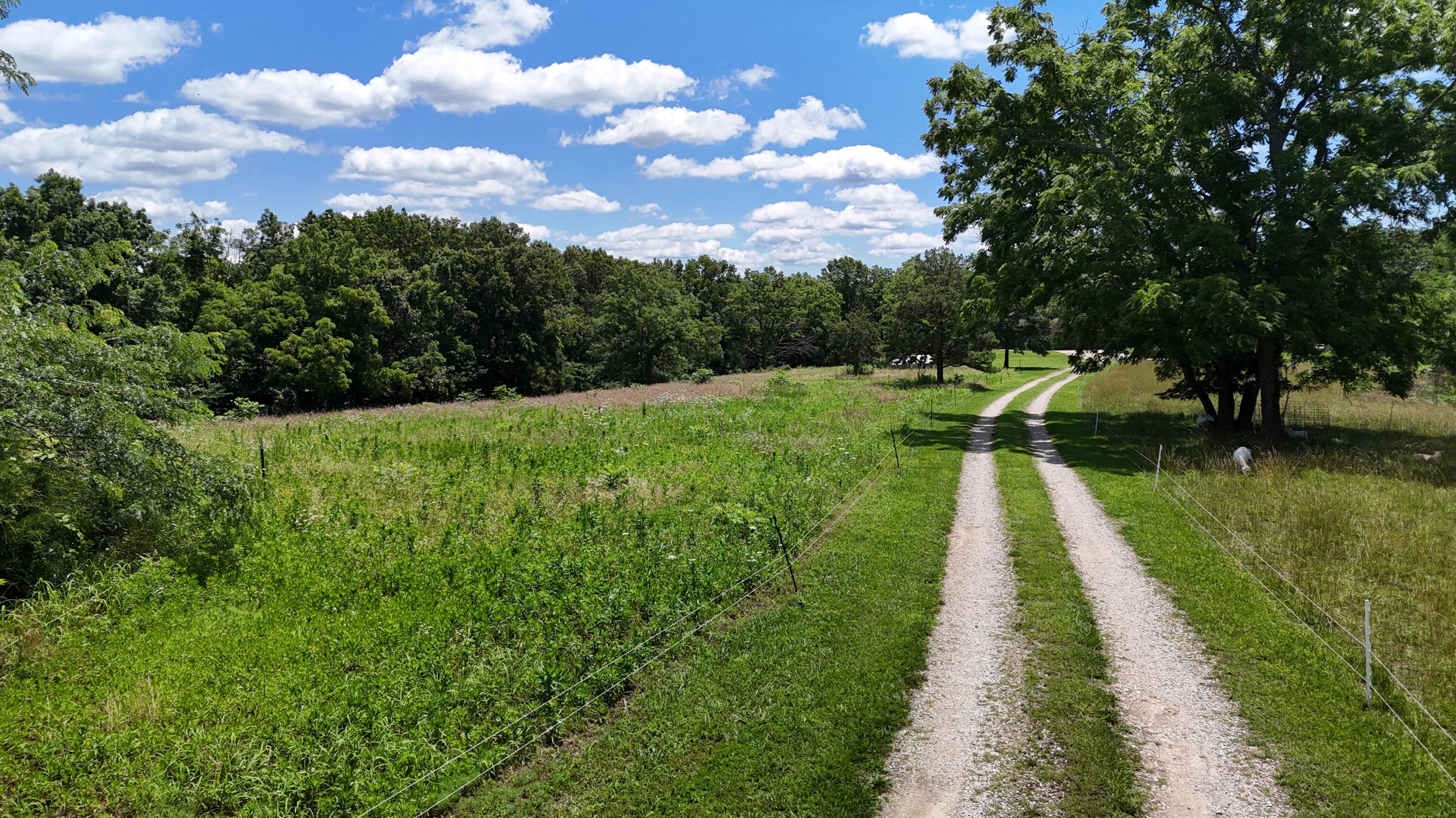 main property photo 61