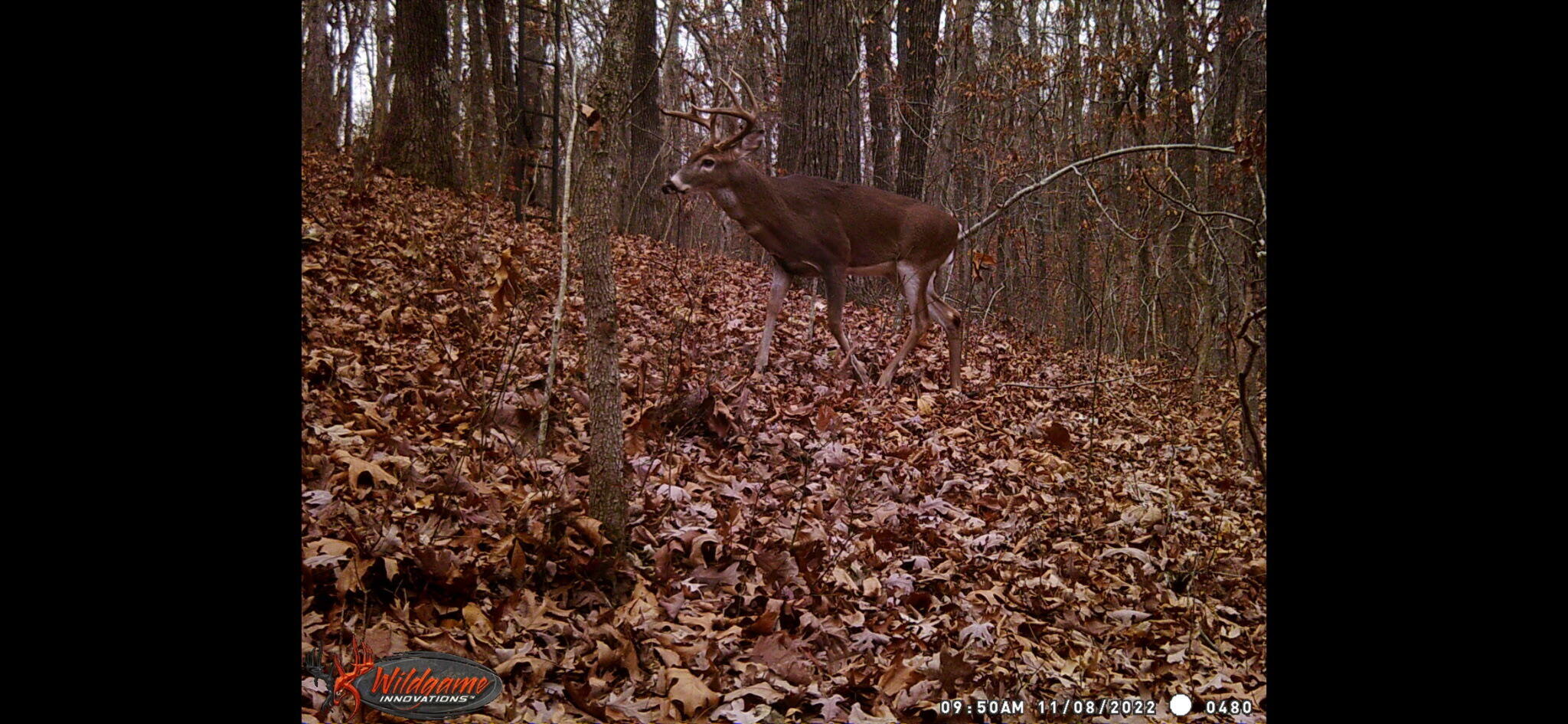 main property photo 74
