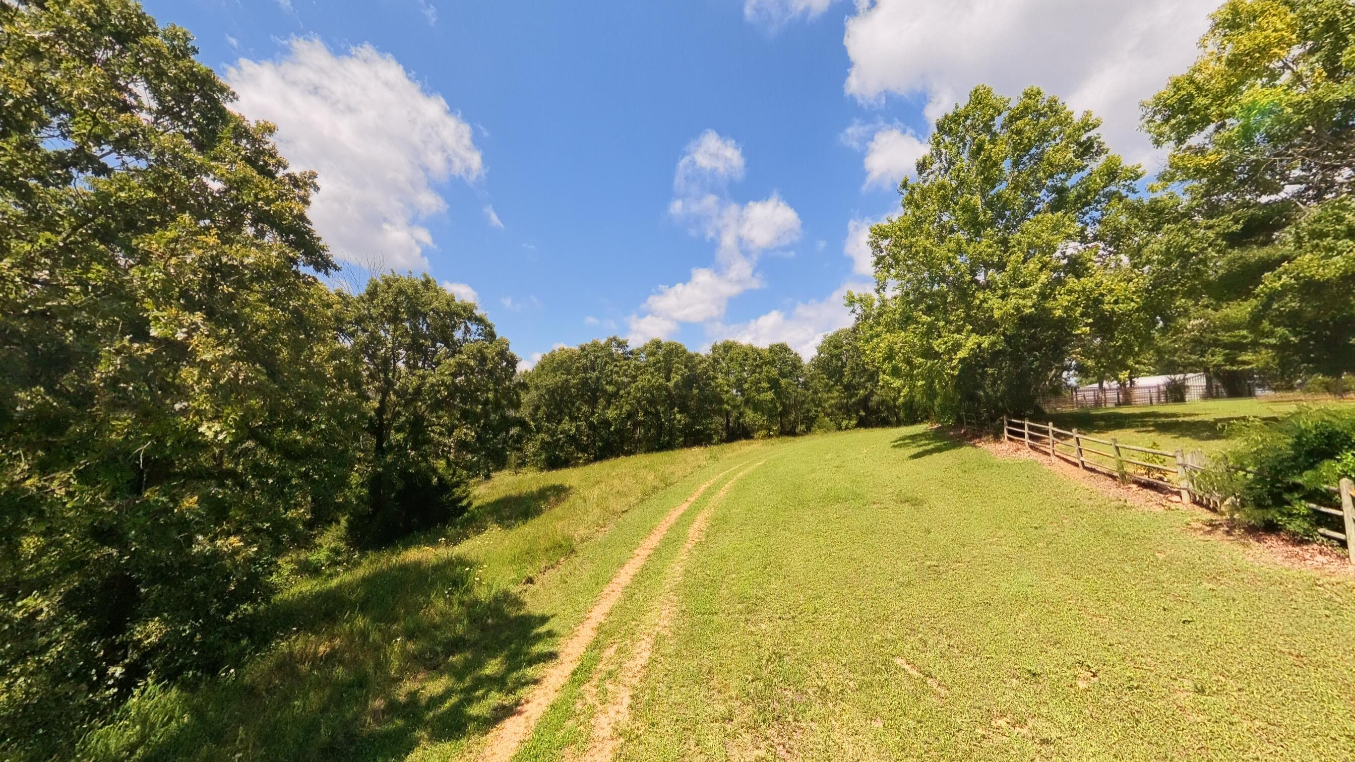 main property photo 95