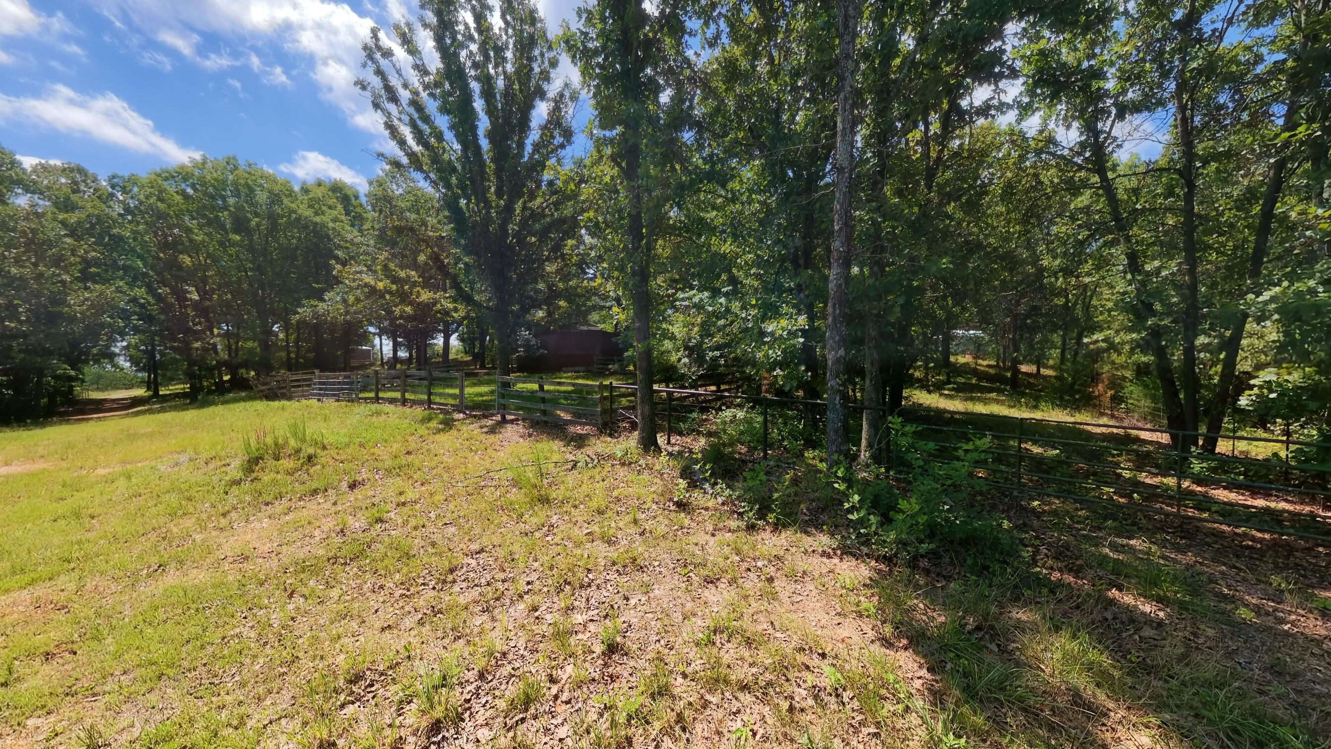 main property photo 98