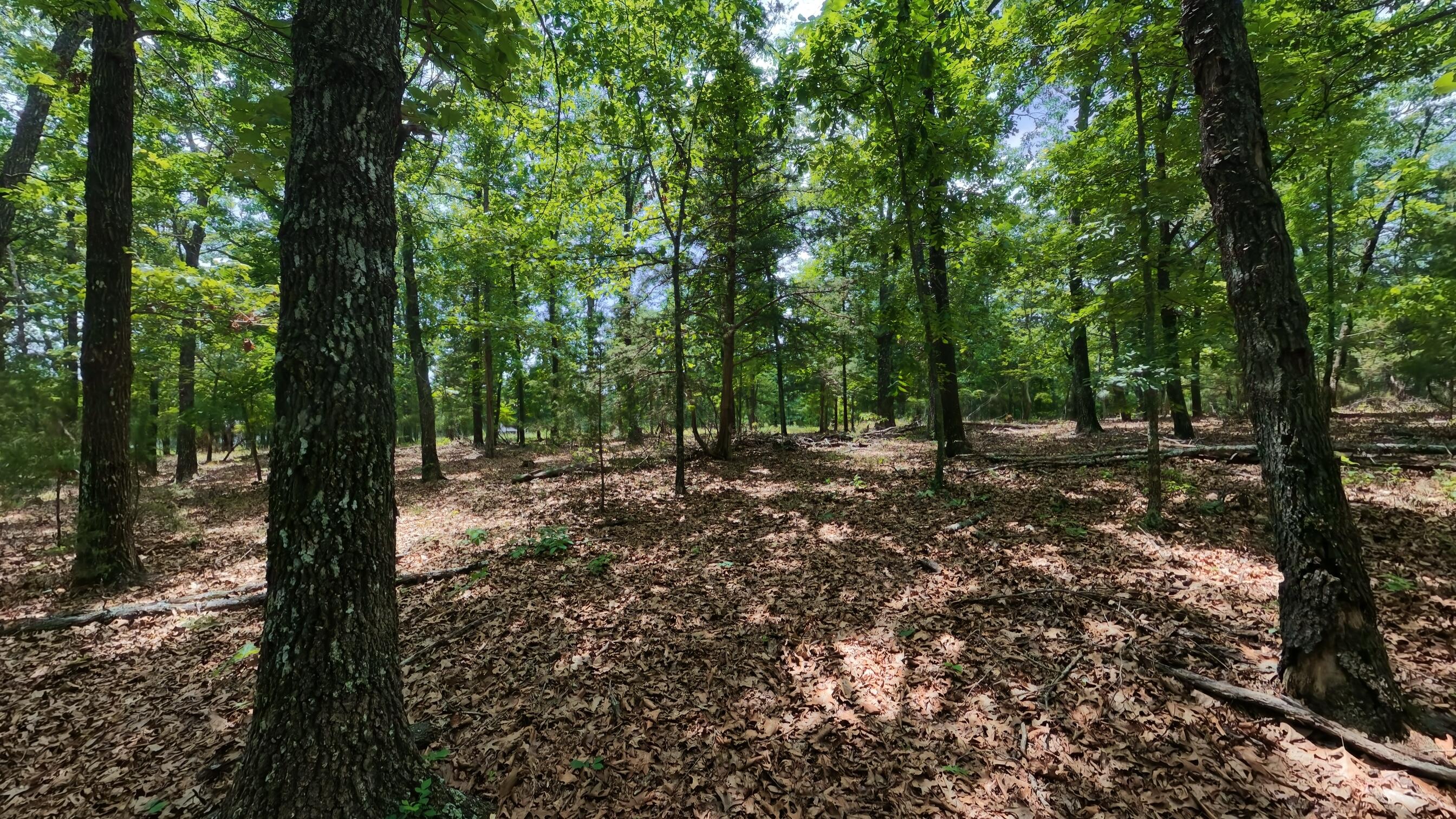 main property photo 72