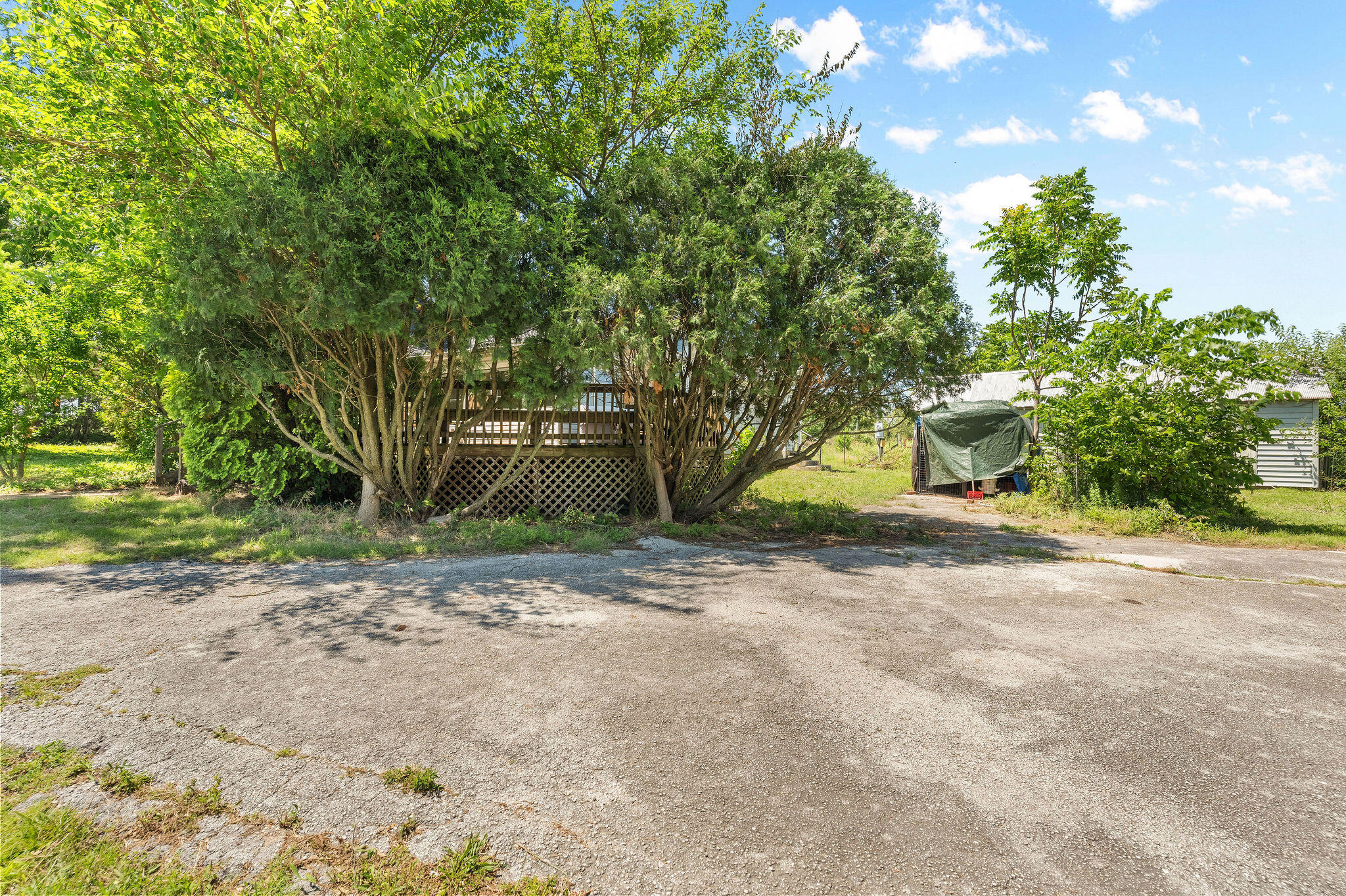 main property photo 11