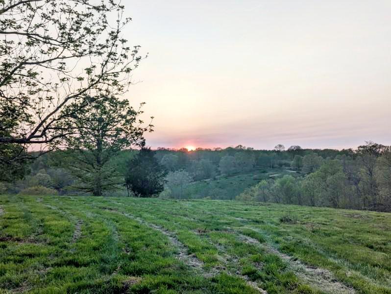 main property photo 12