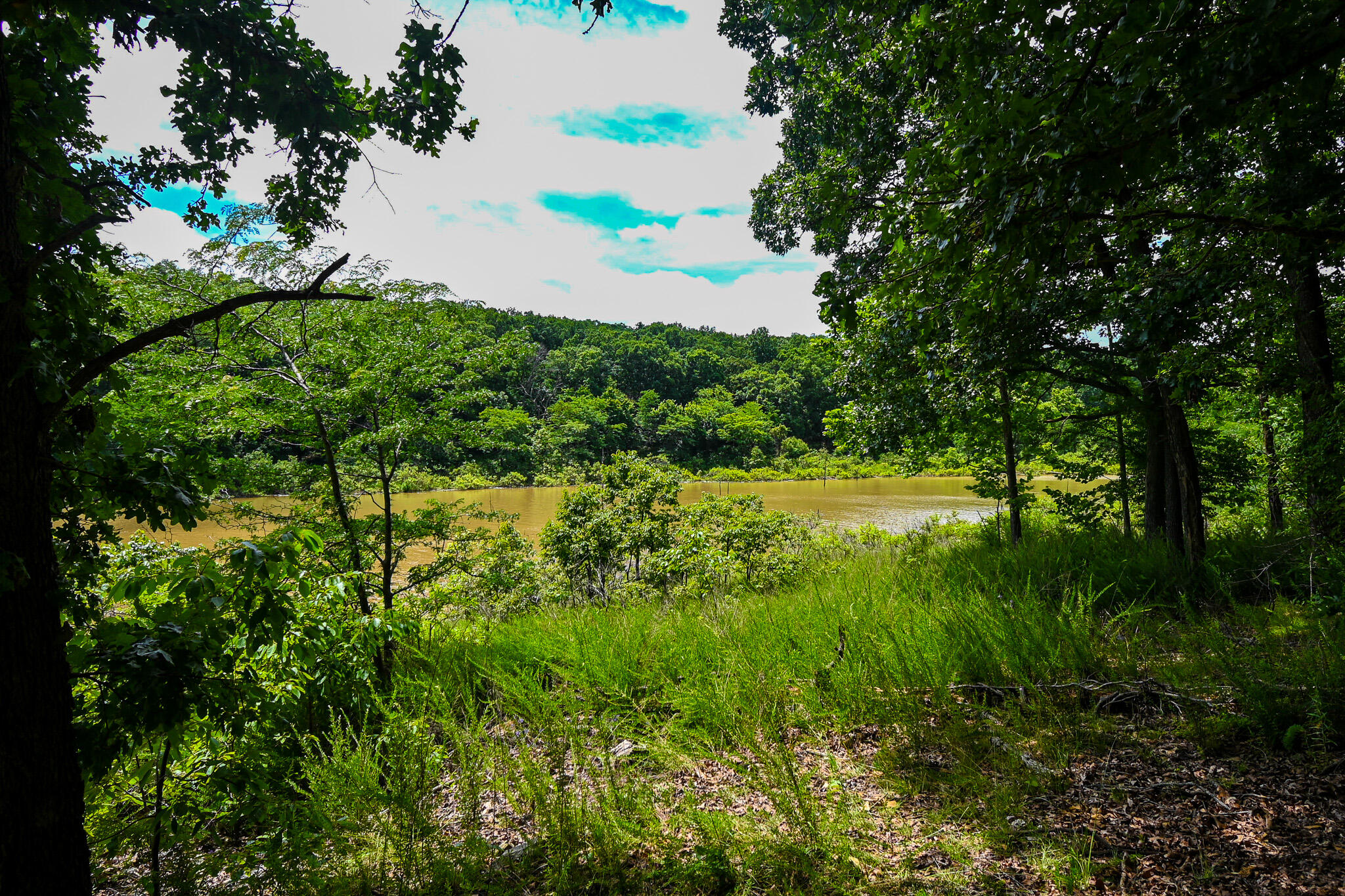 main property photo 10
