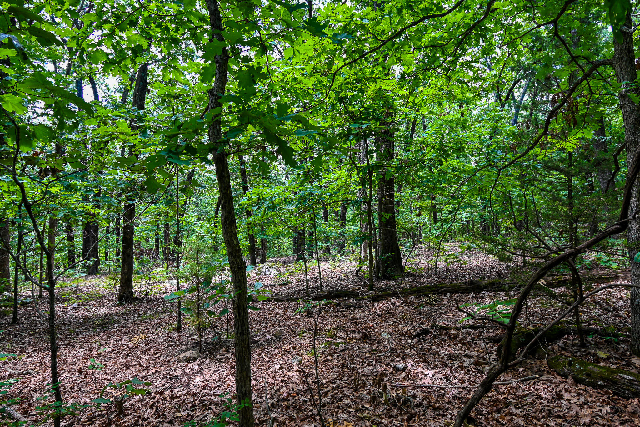main property photo 46