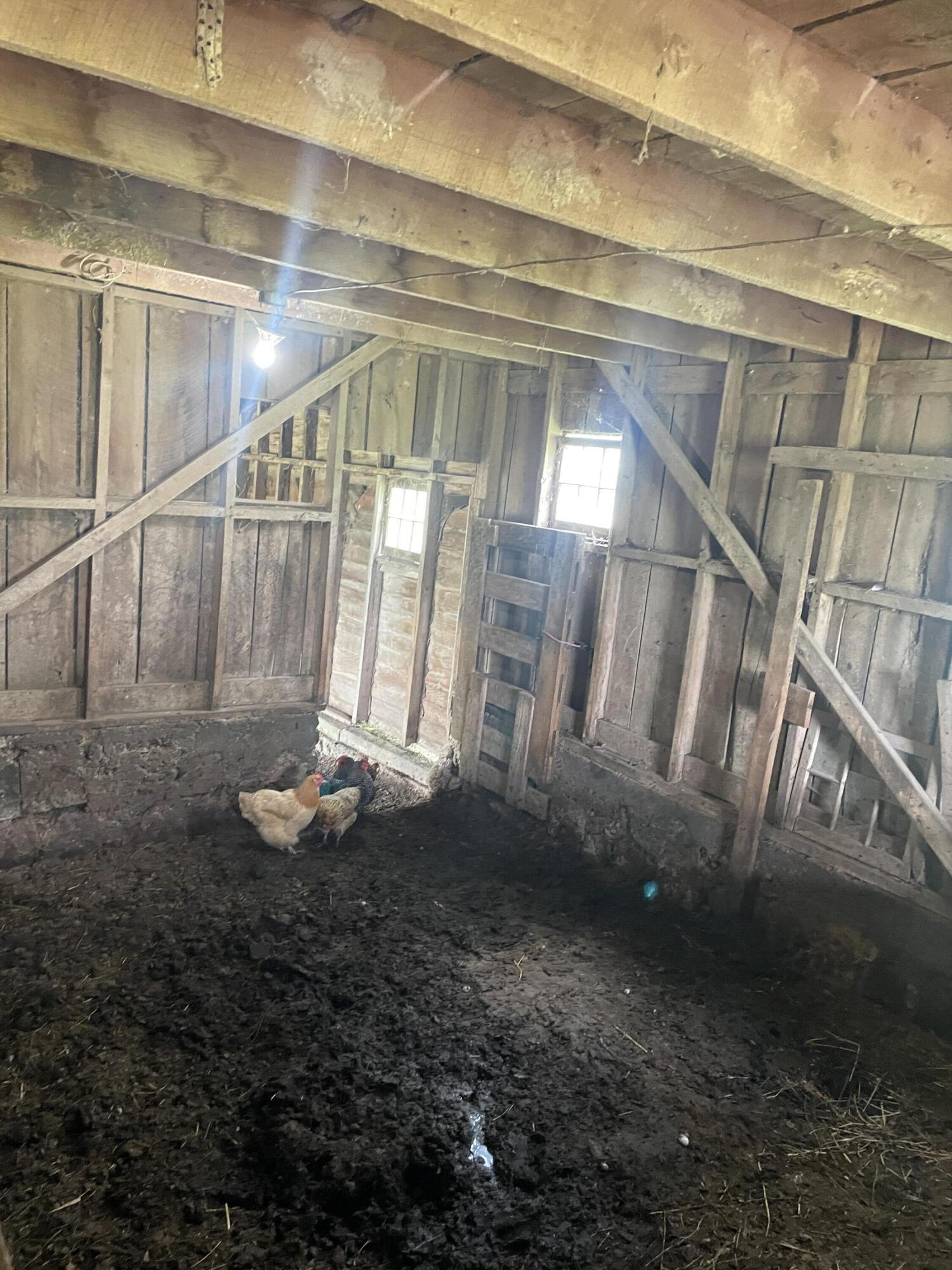 main property photo 12