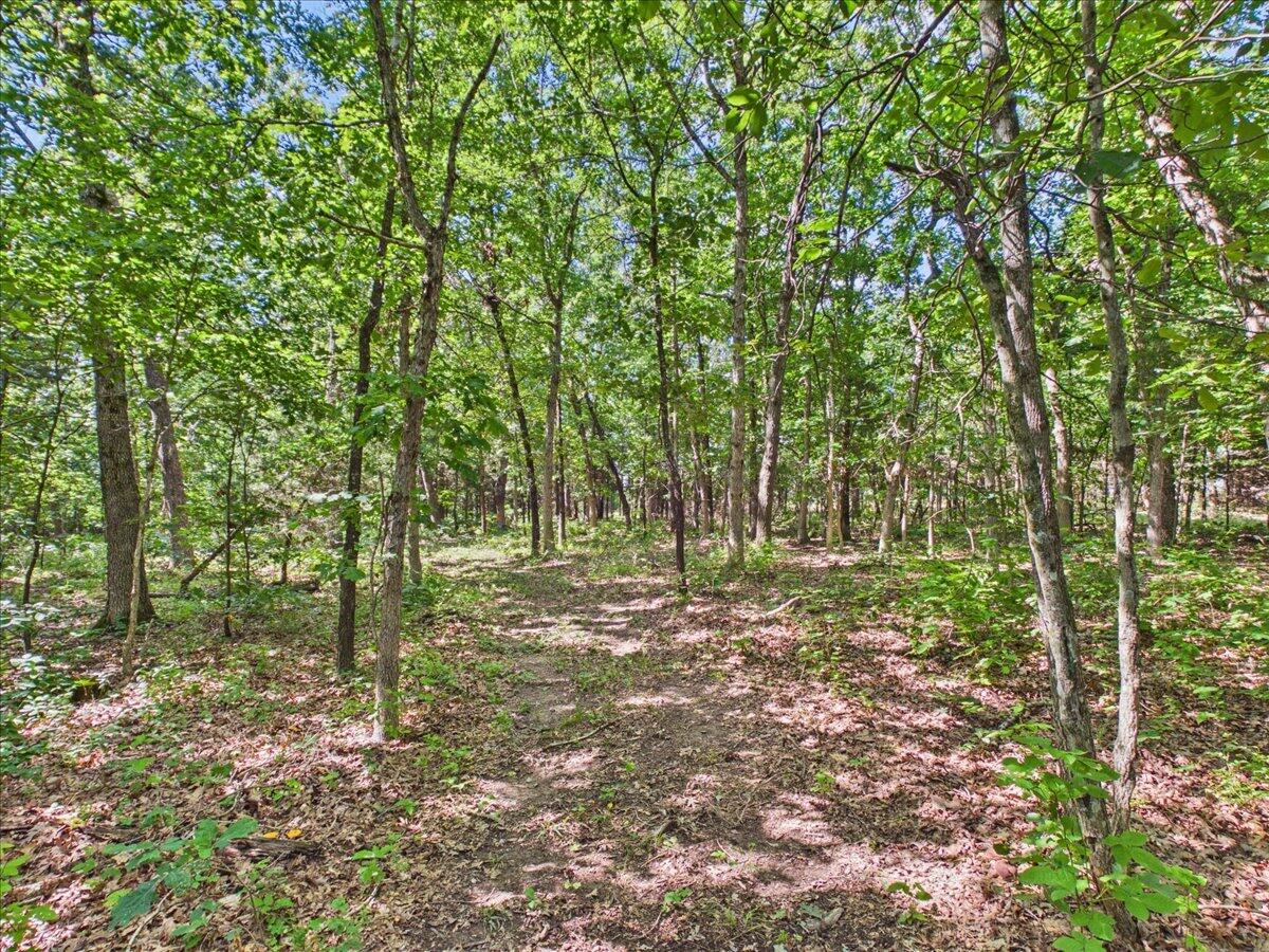 main property photo 74