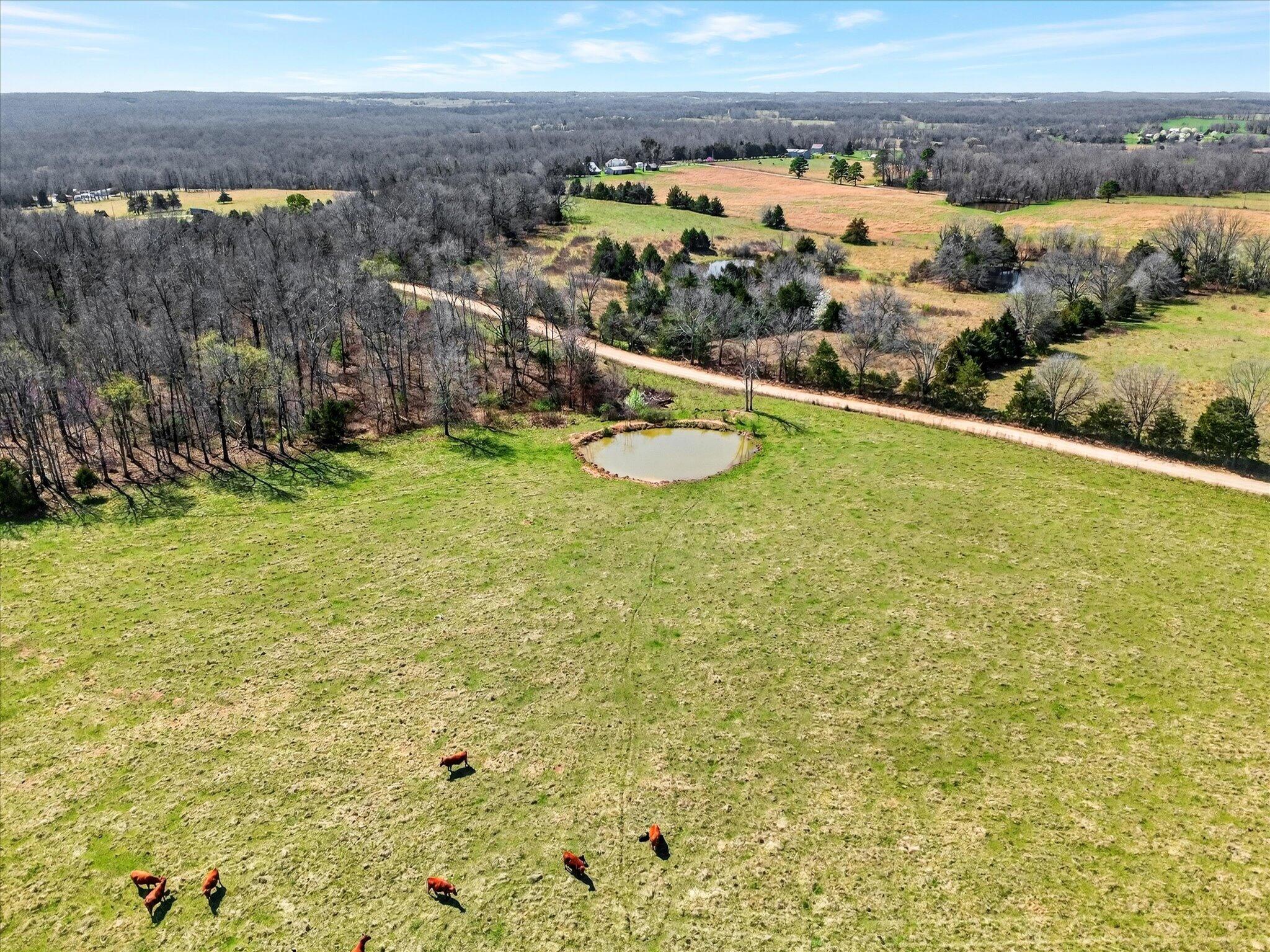 main property photo 59