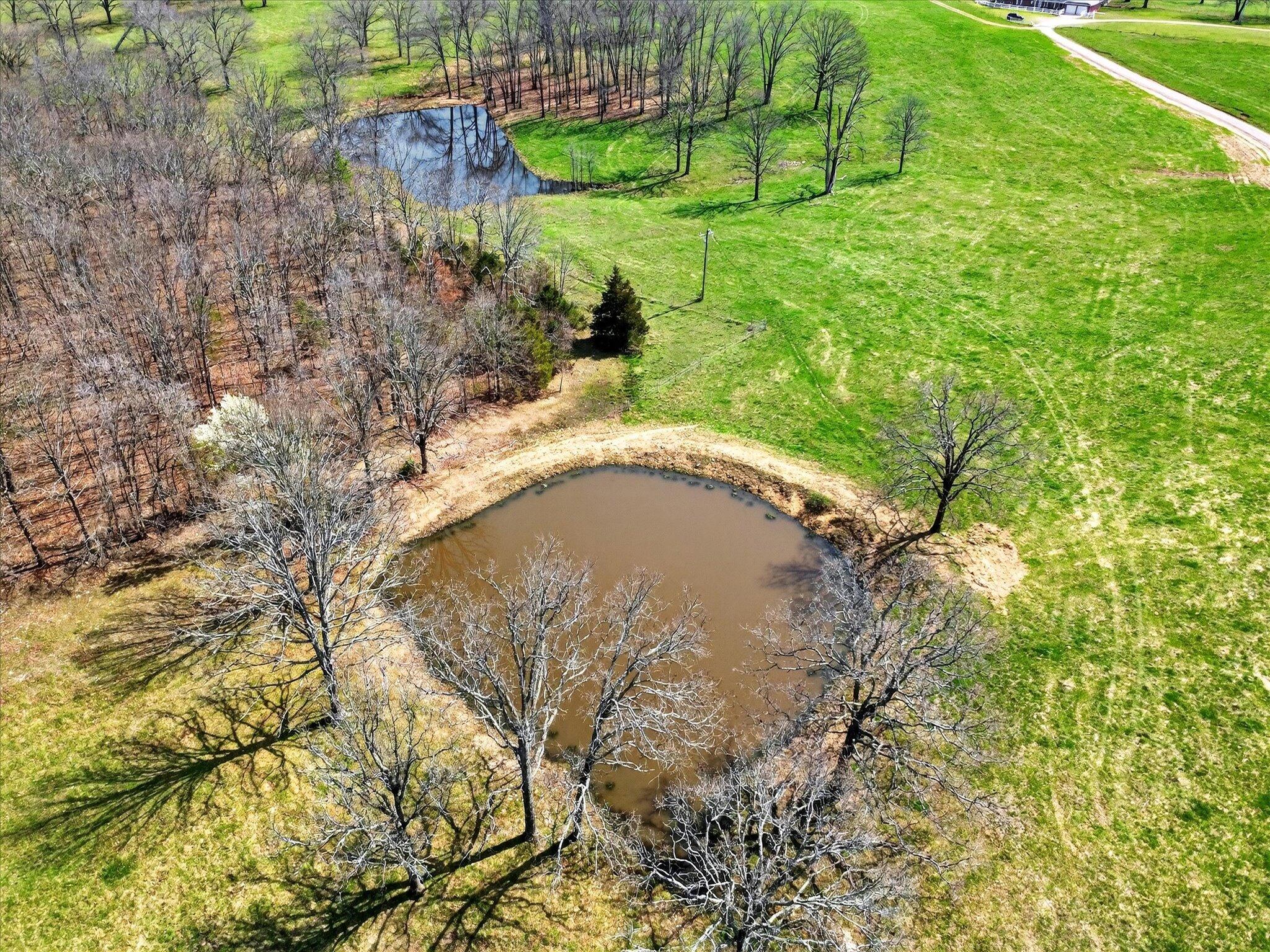 main property photo 60
