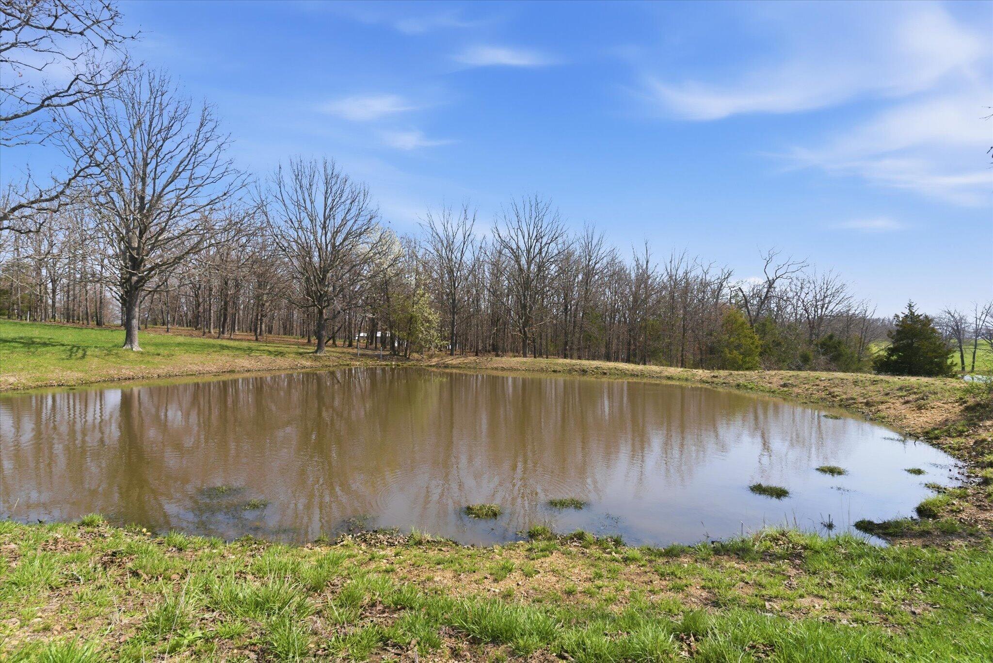 main property photo 61