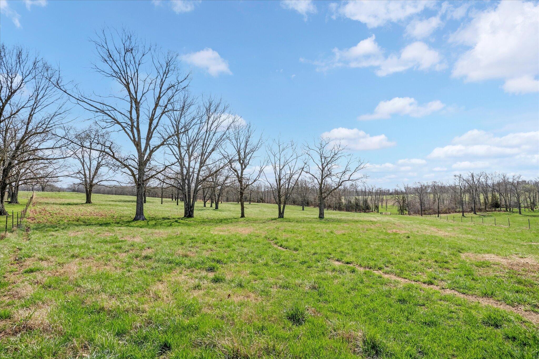 main property photo 62