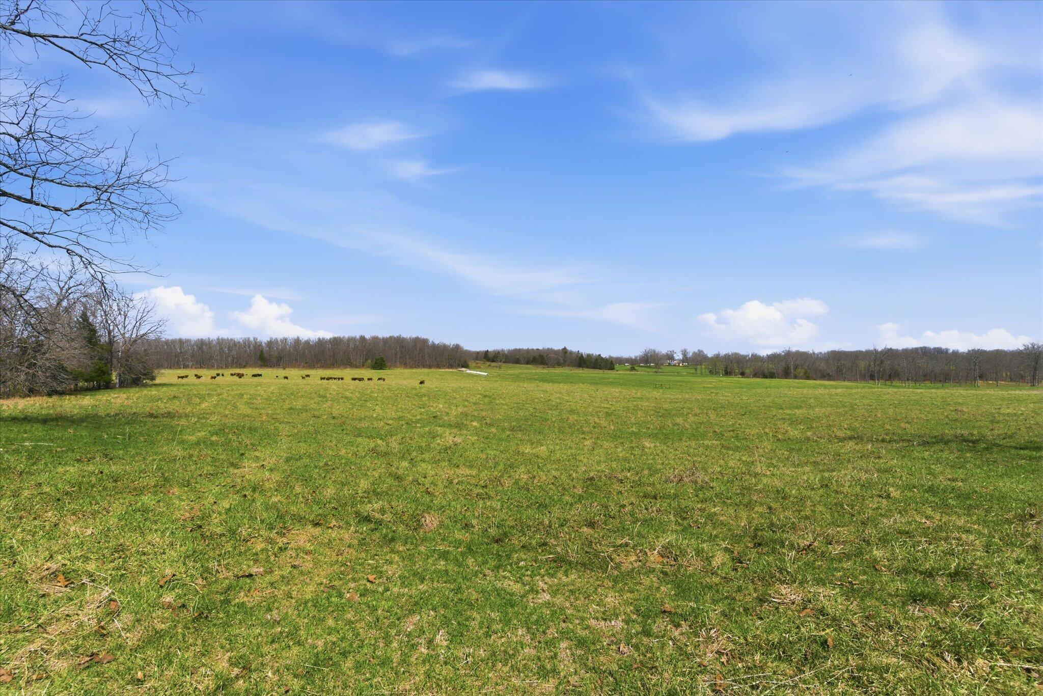 main property photo 65
