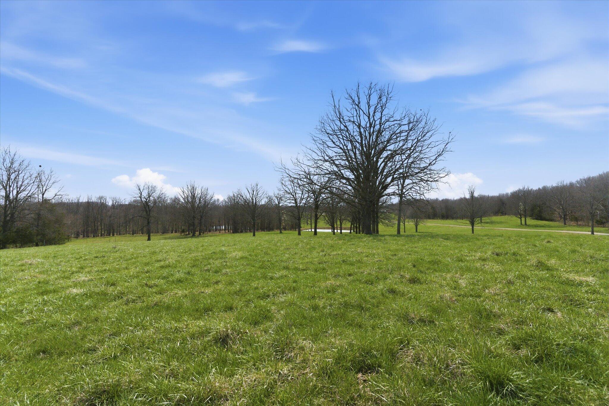 main property photo 66