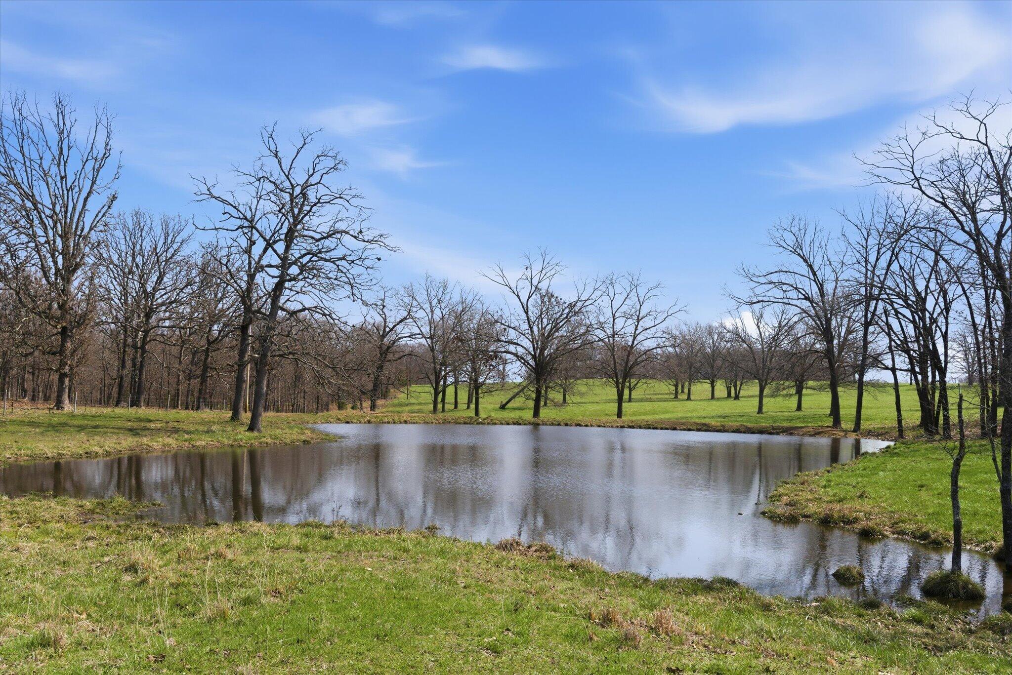 main property photo 67