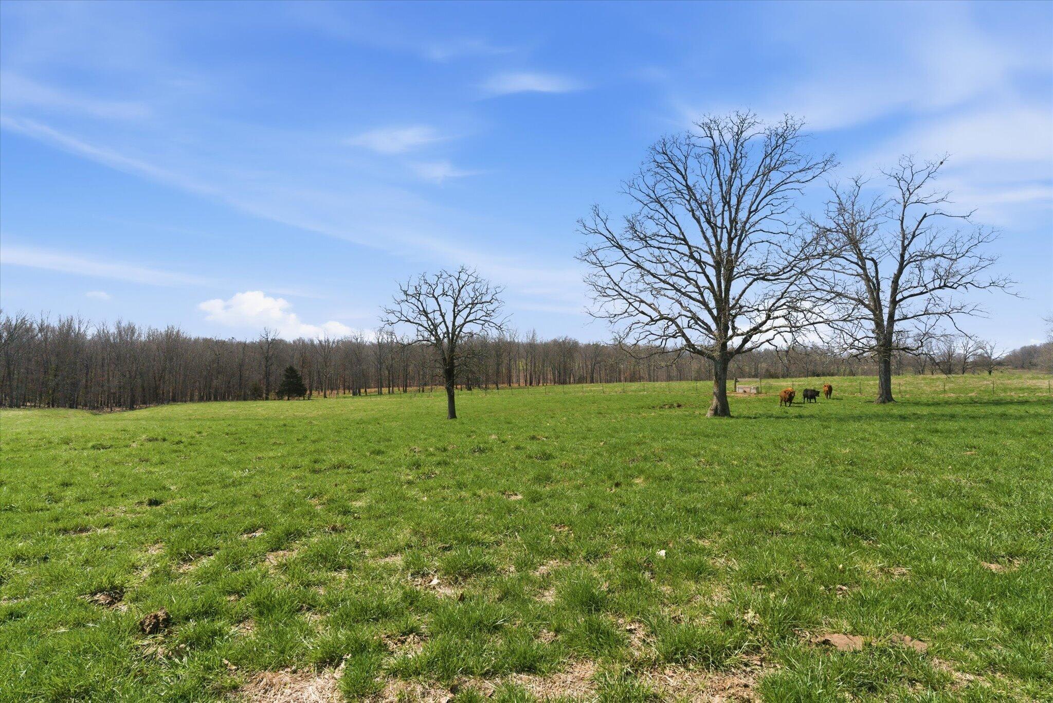 main property photo 71