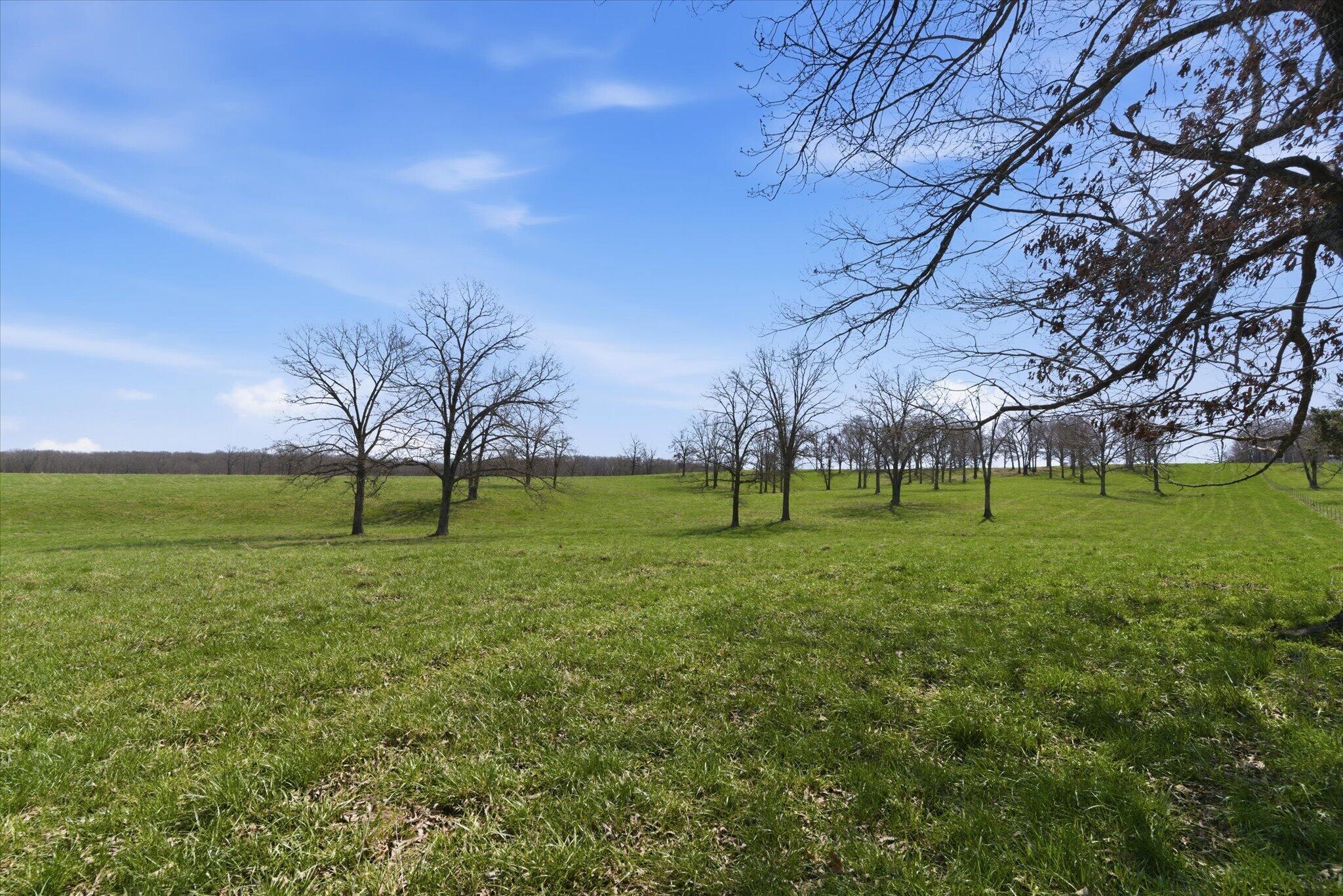 main property photo 74
