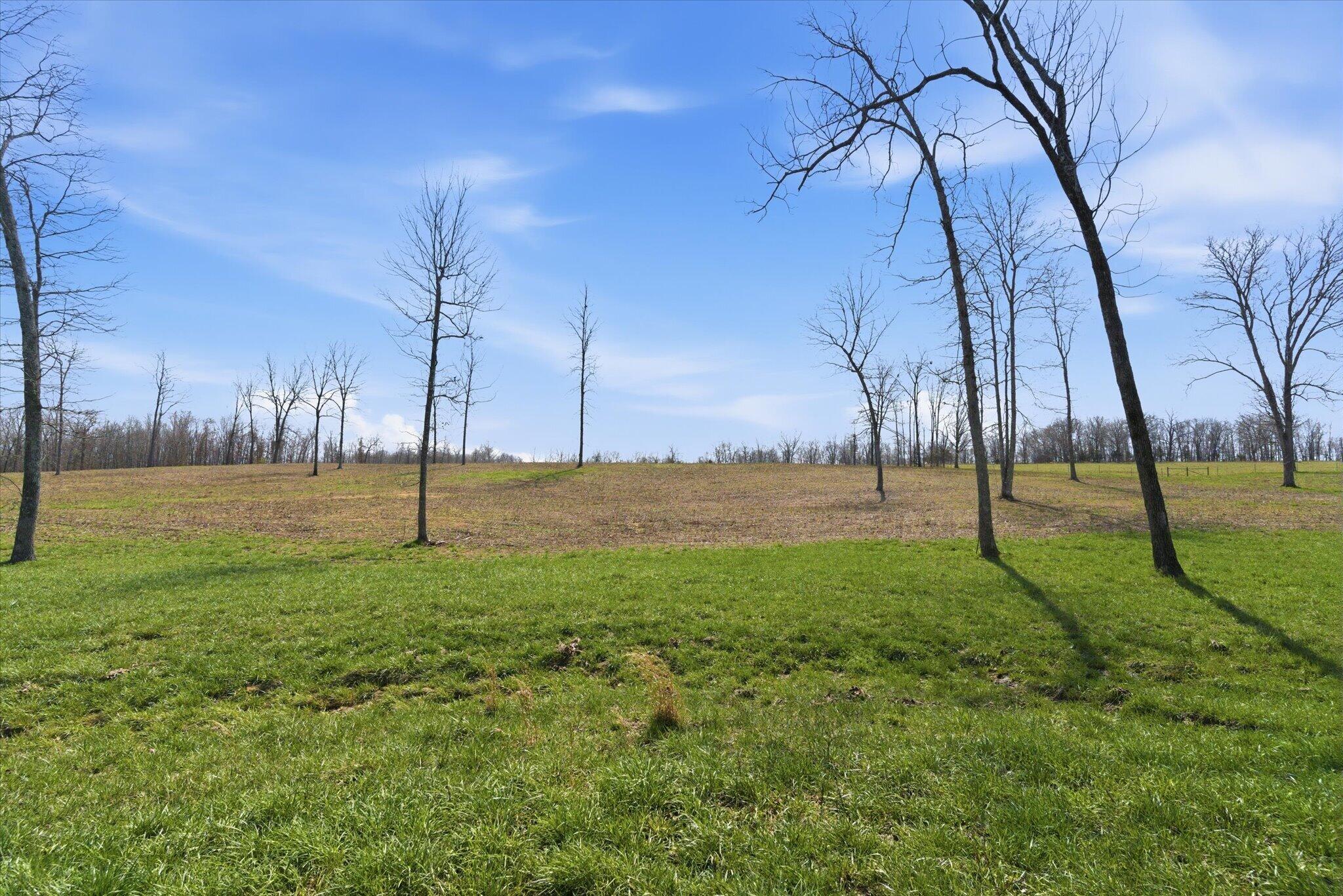 main property photo 75