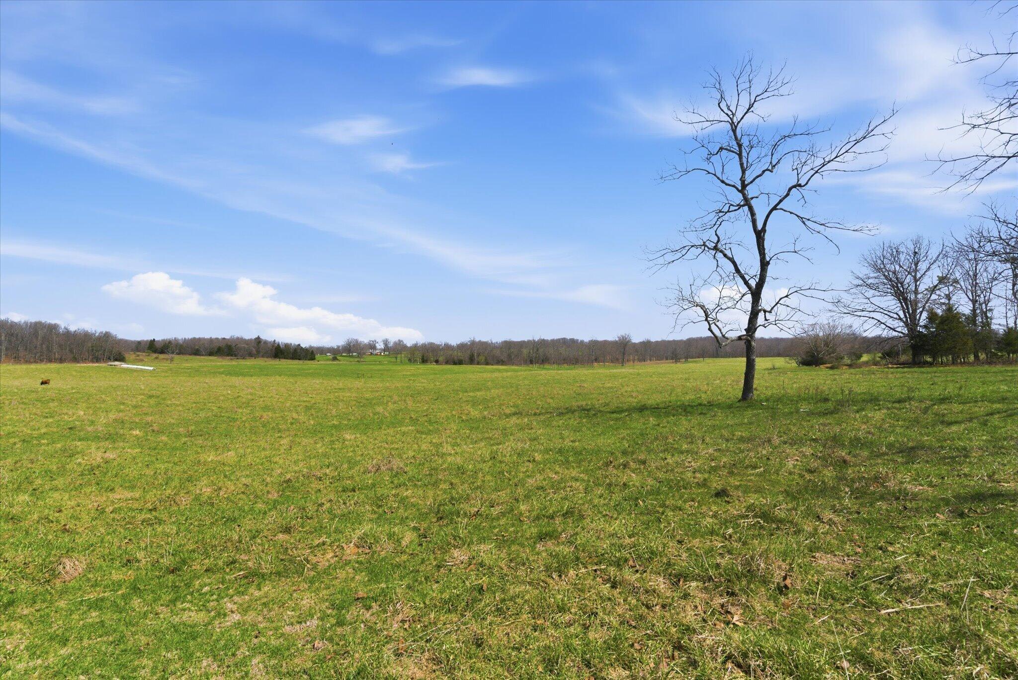 main property photo 76