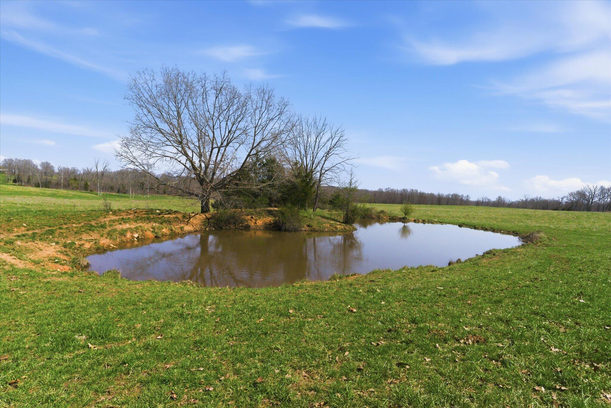main property photo 77