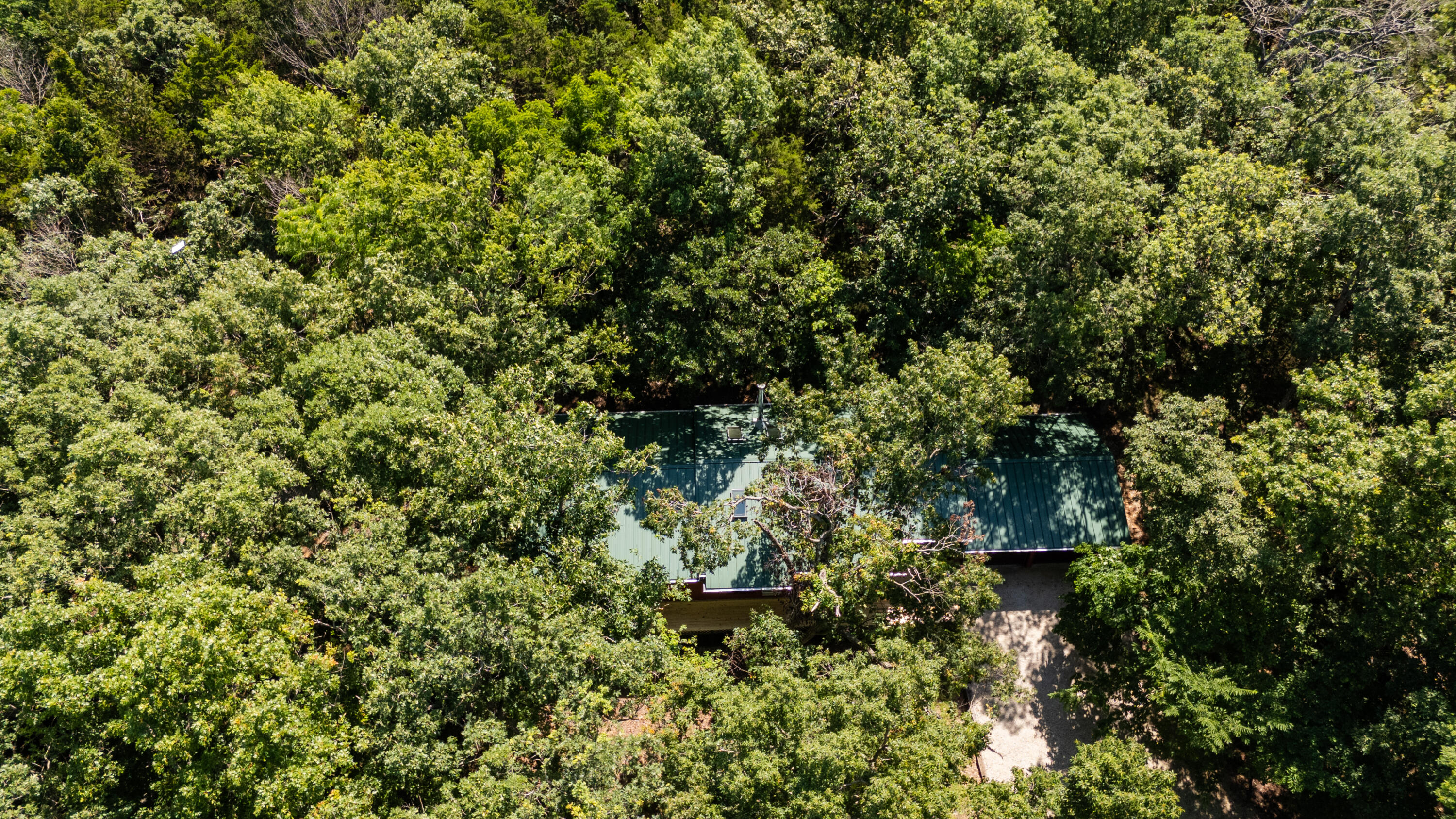 main property photo 58
