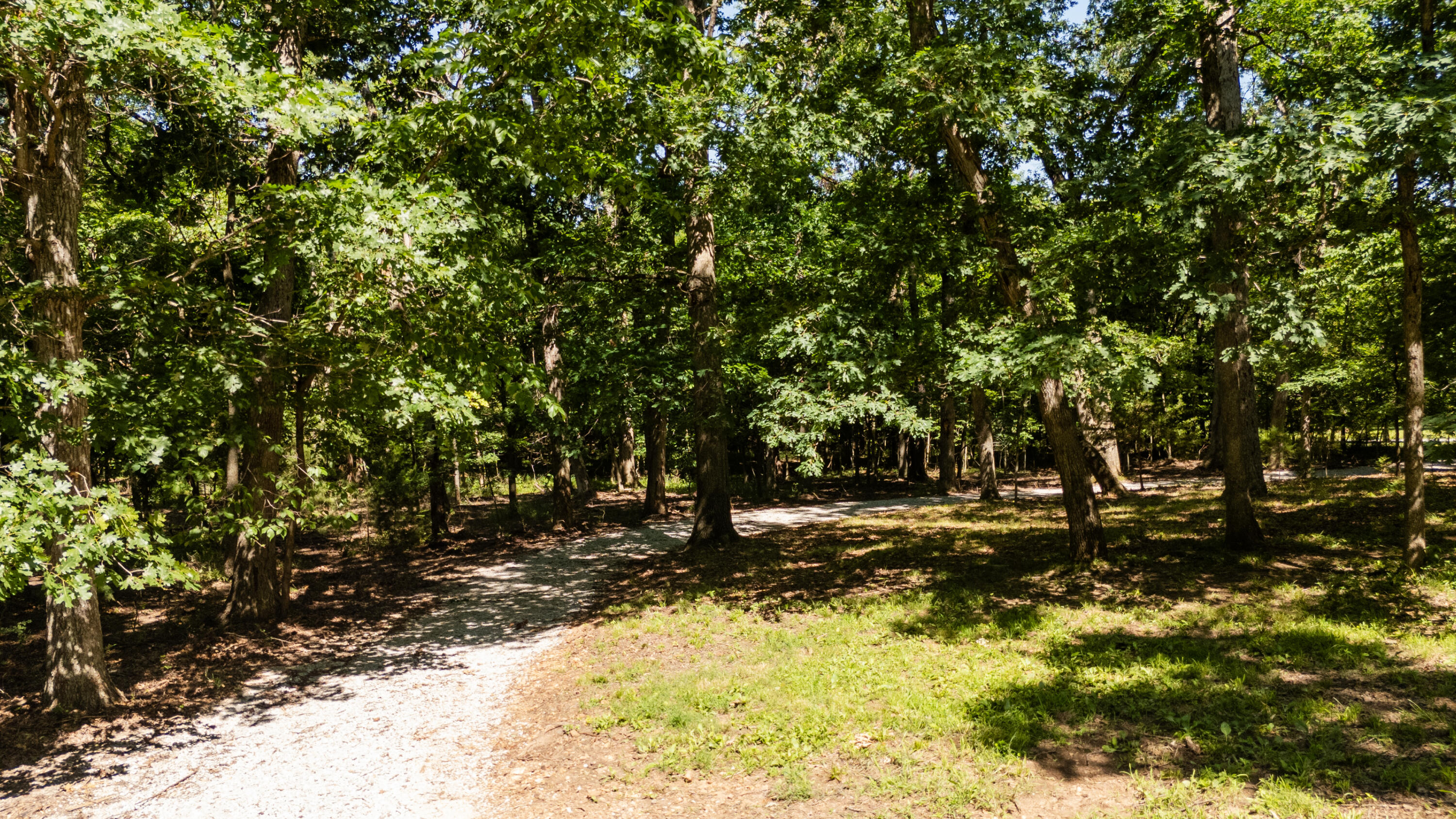 main property photo 59