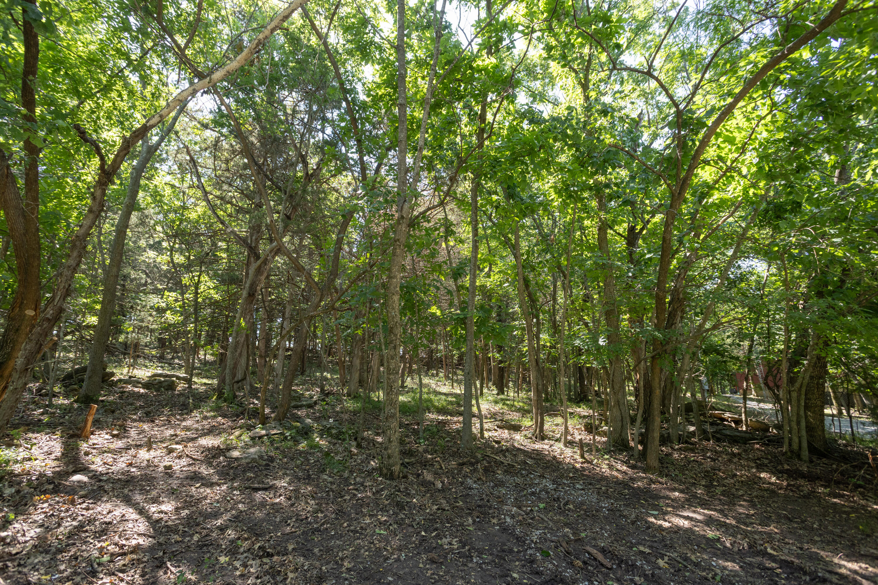 main property photo 65