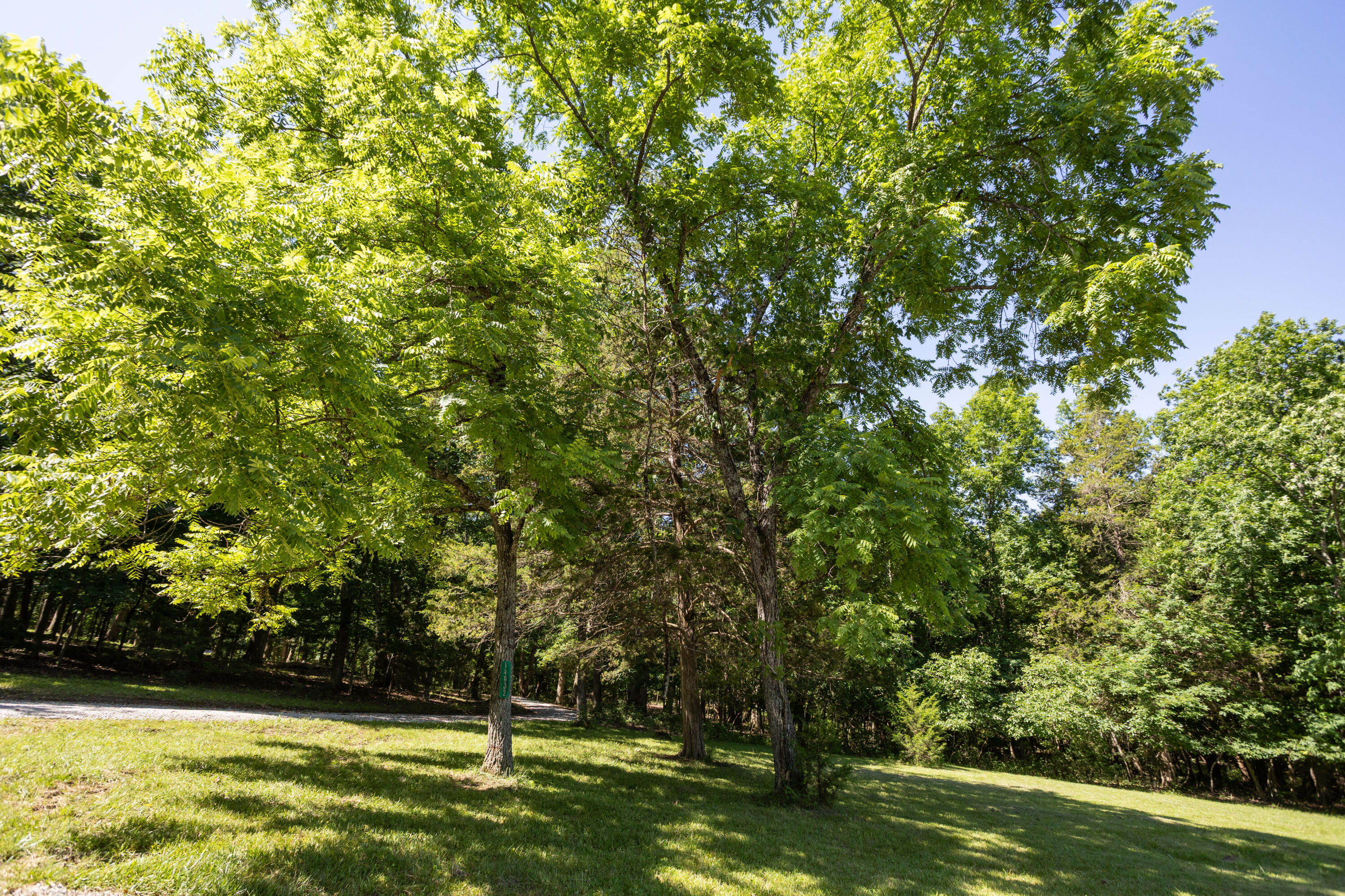 main property photo 67
