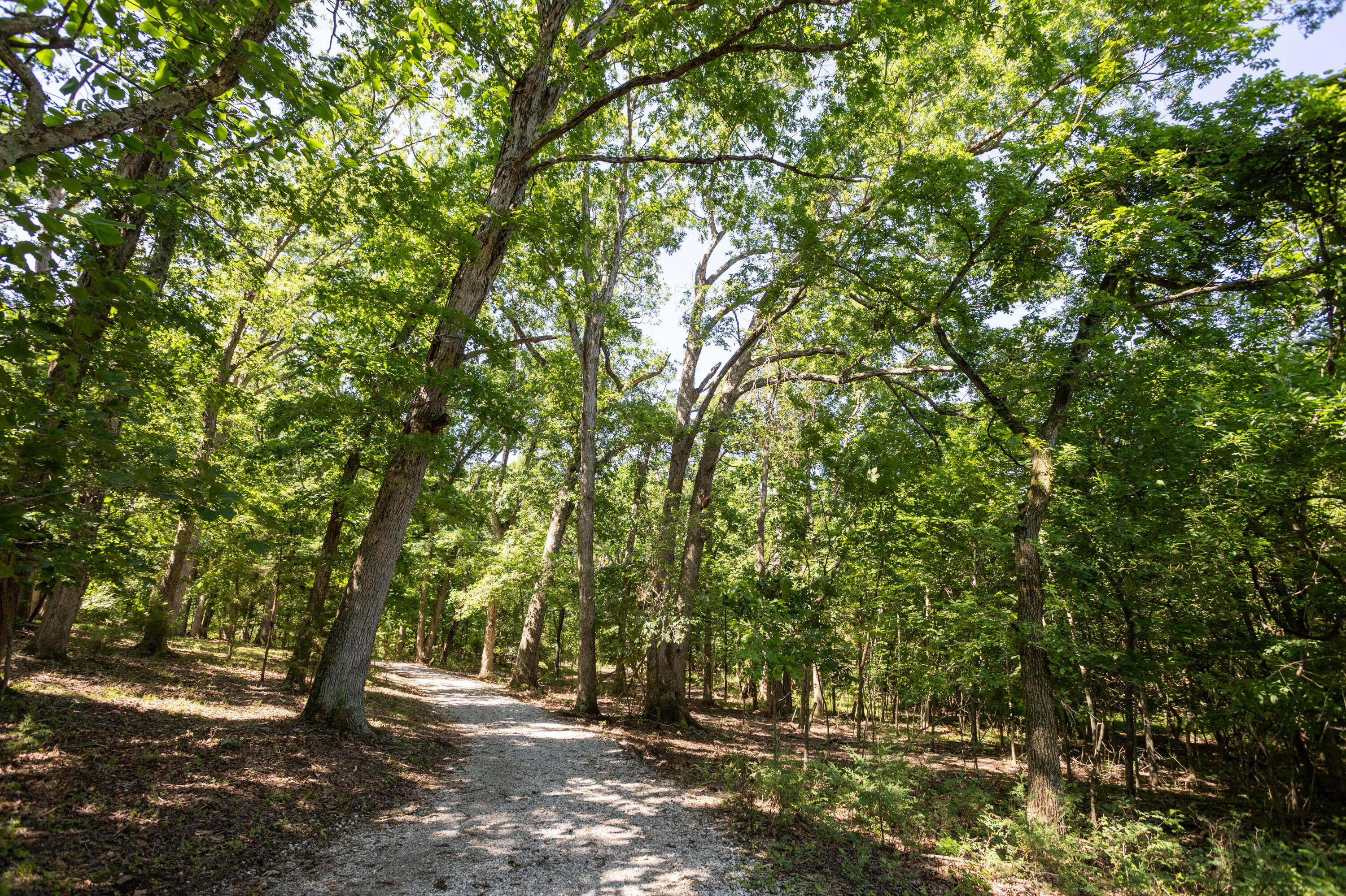 main property photo 68
