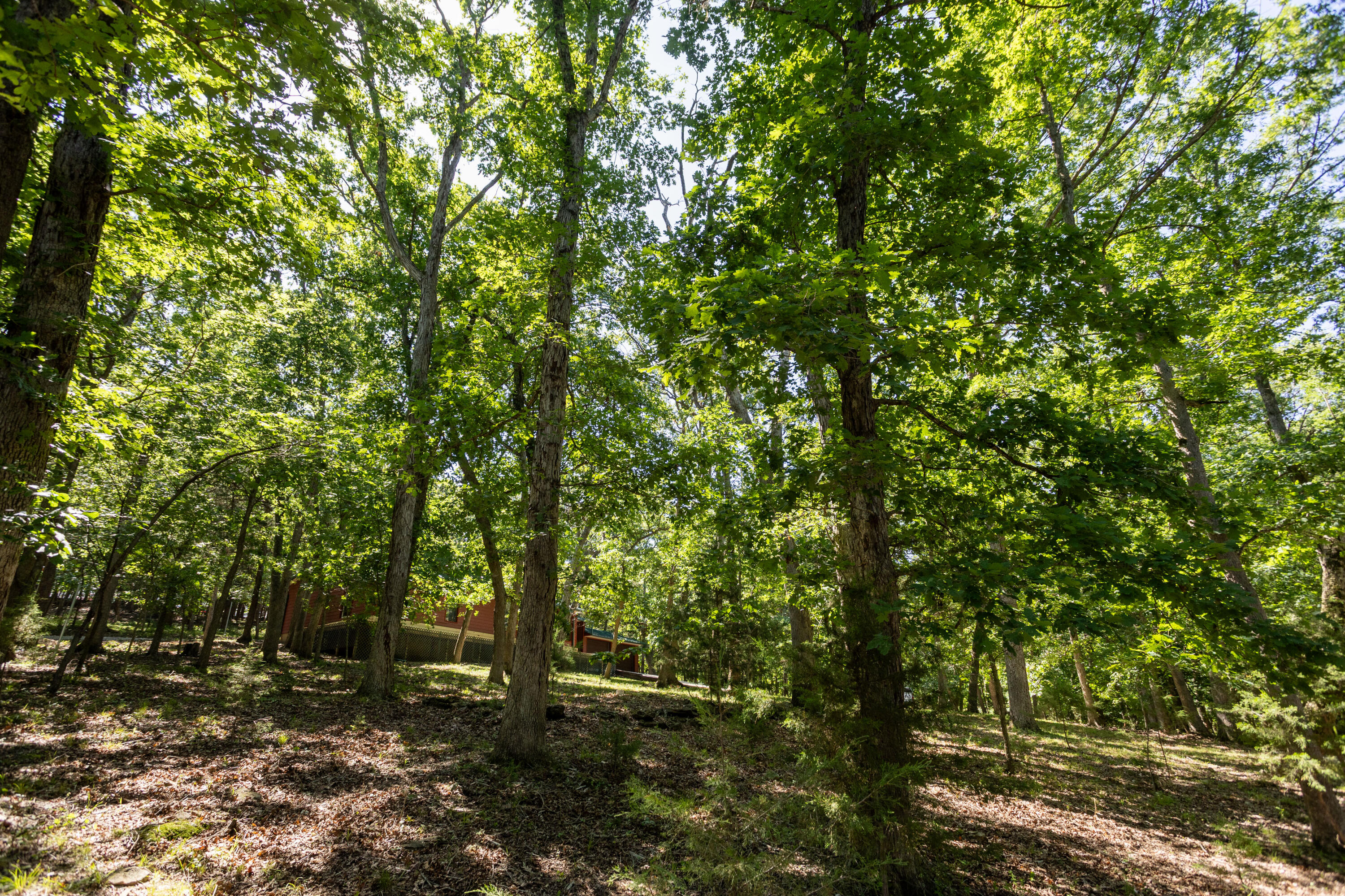 main property photo 69