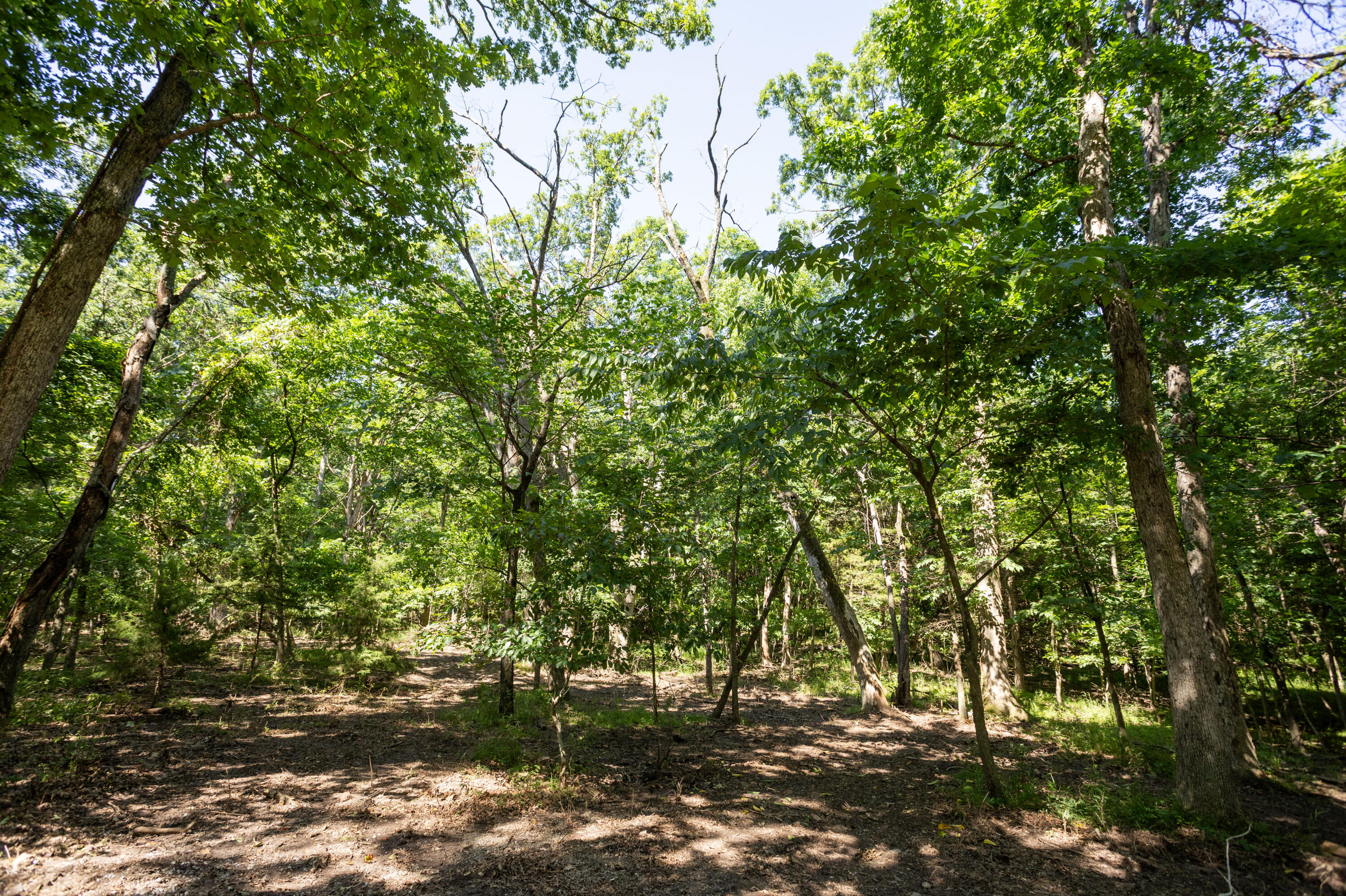 main property photo 70