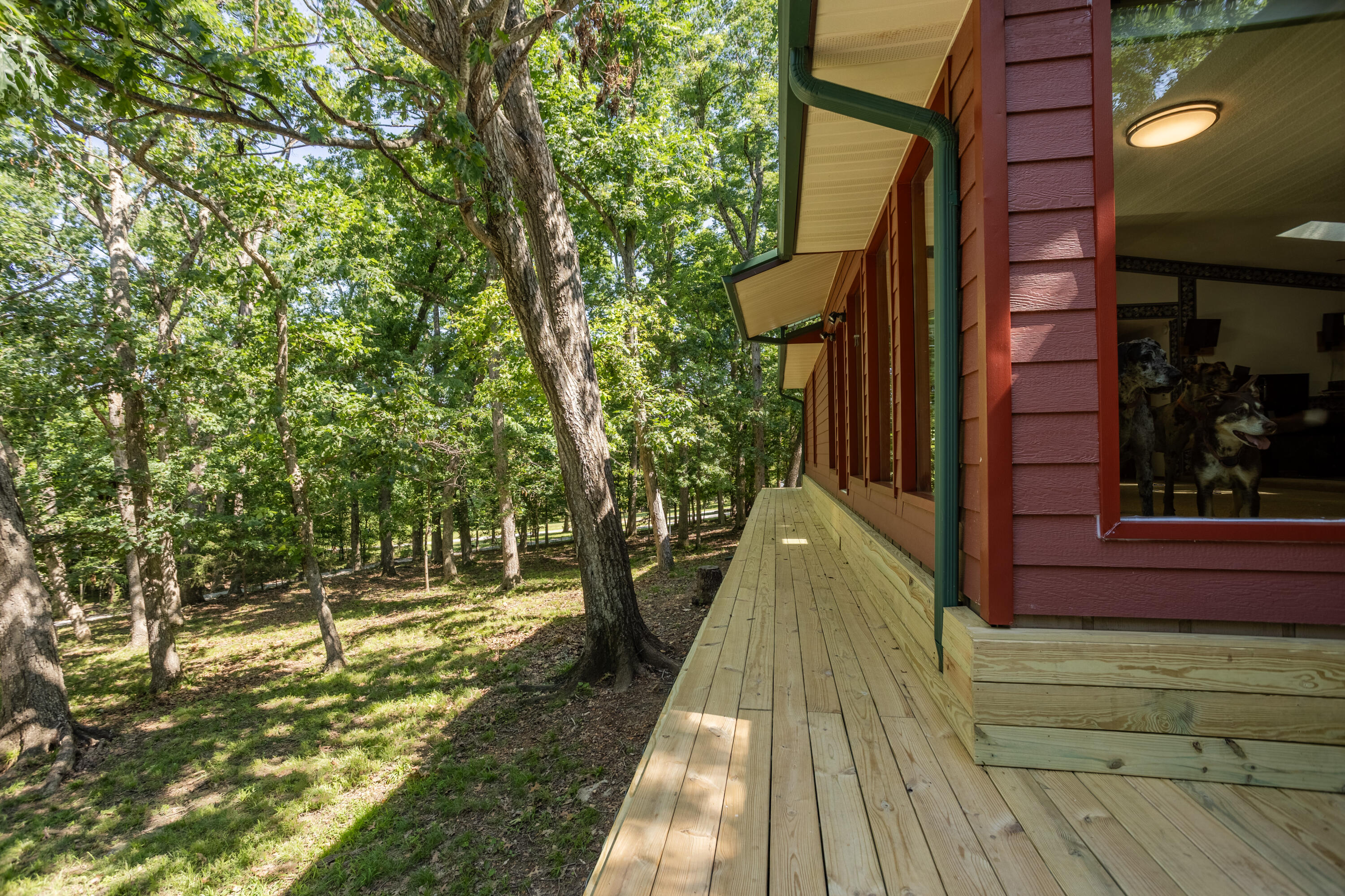 main property photo 71