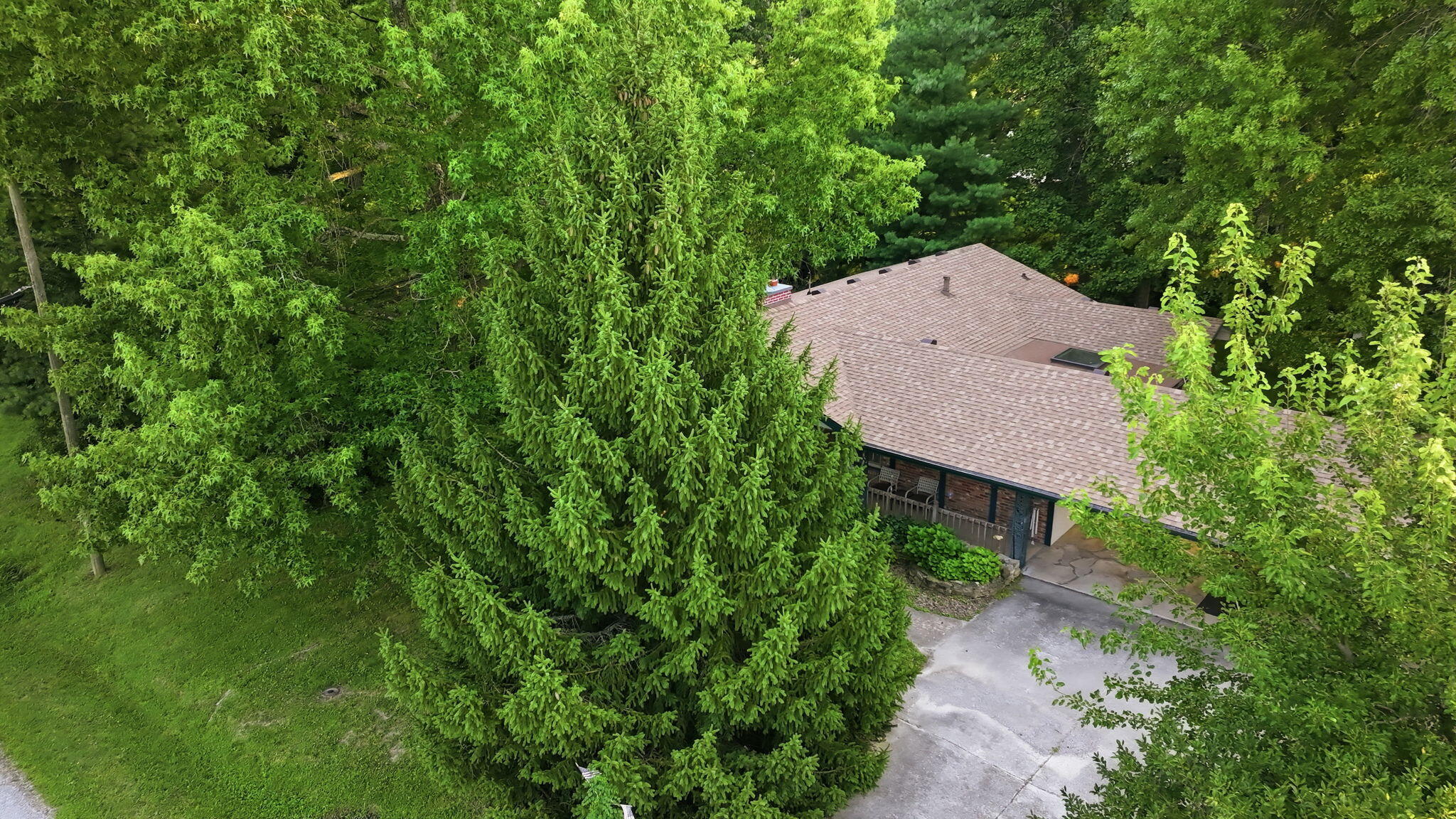 main property photo 25