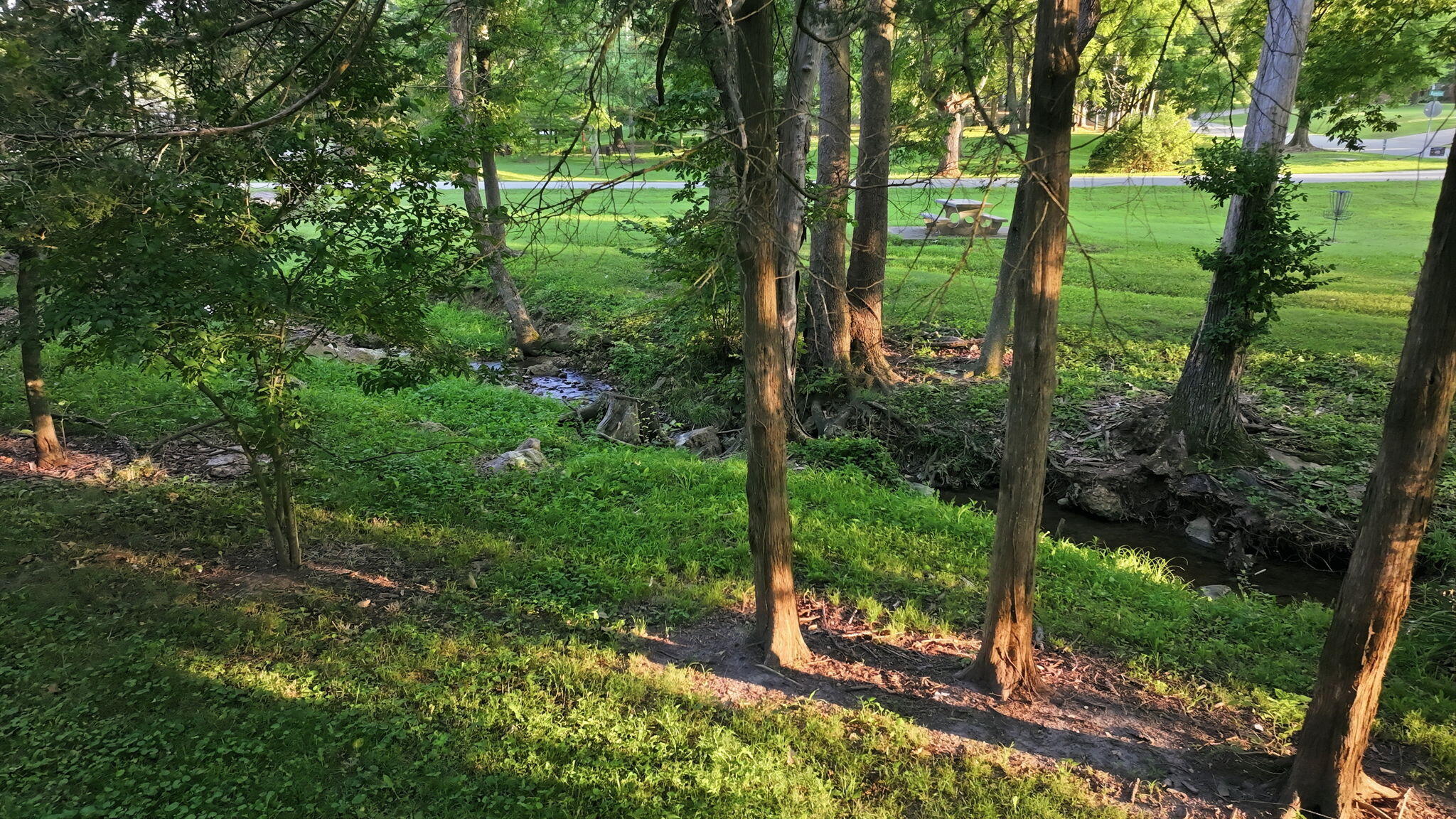 main property photo 29