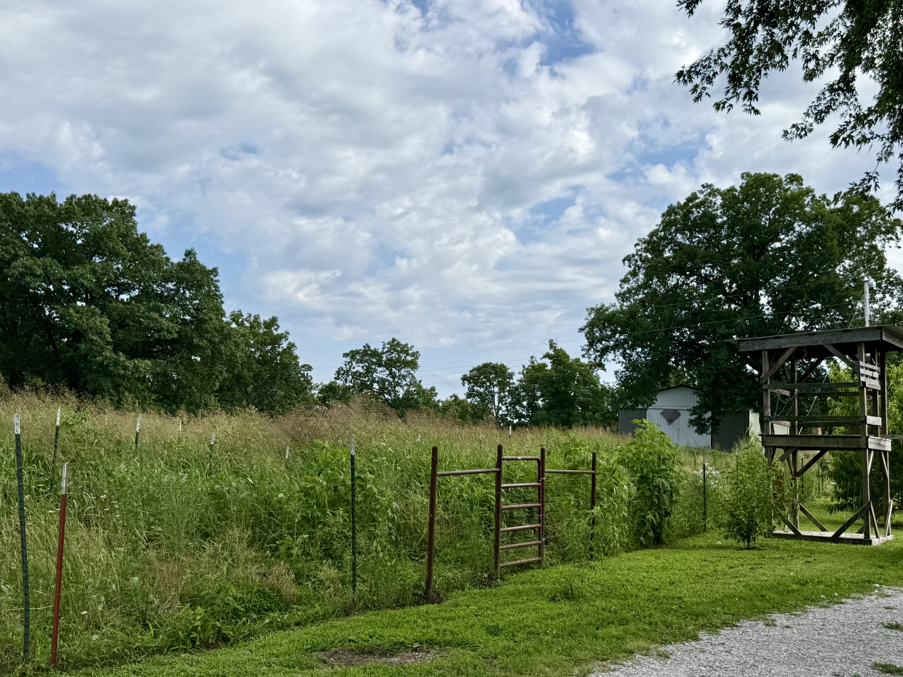 main property photo 55