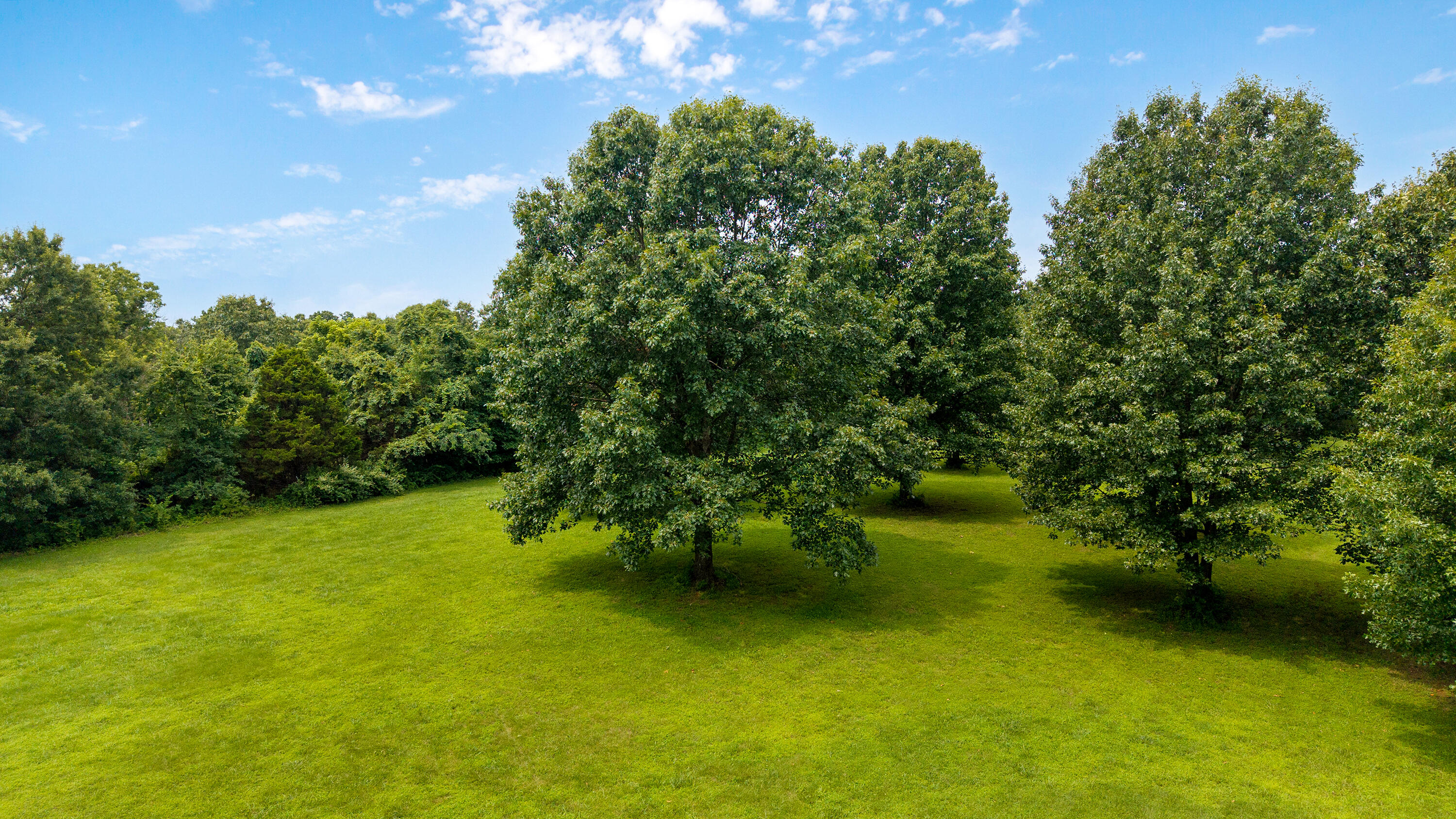 main property photo 65