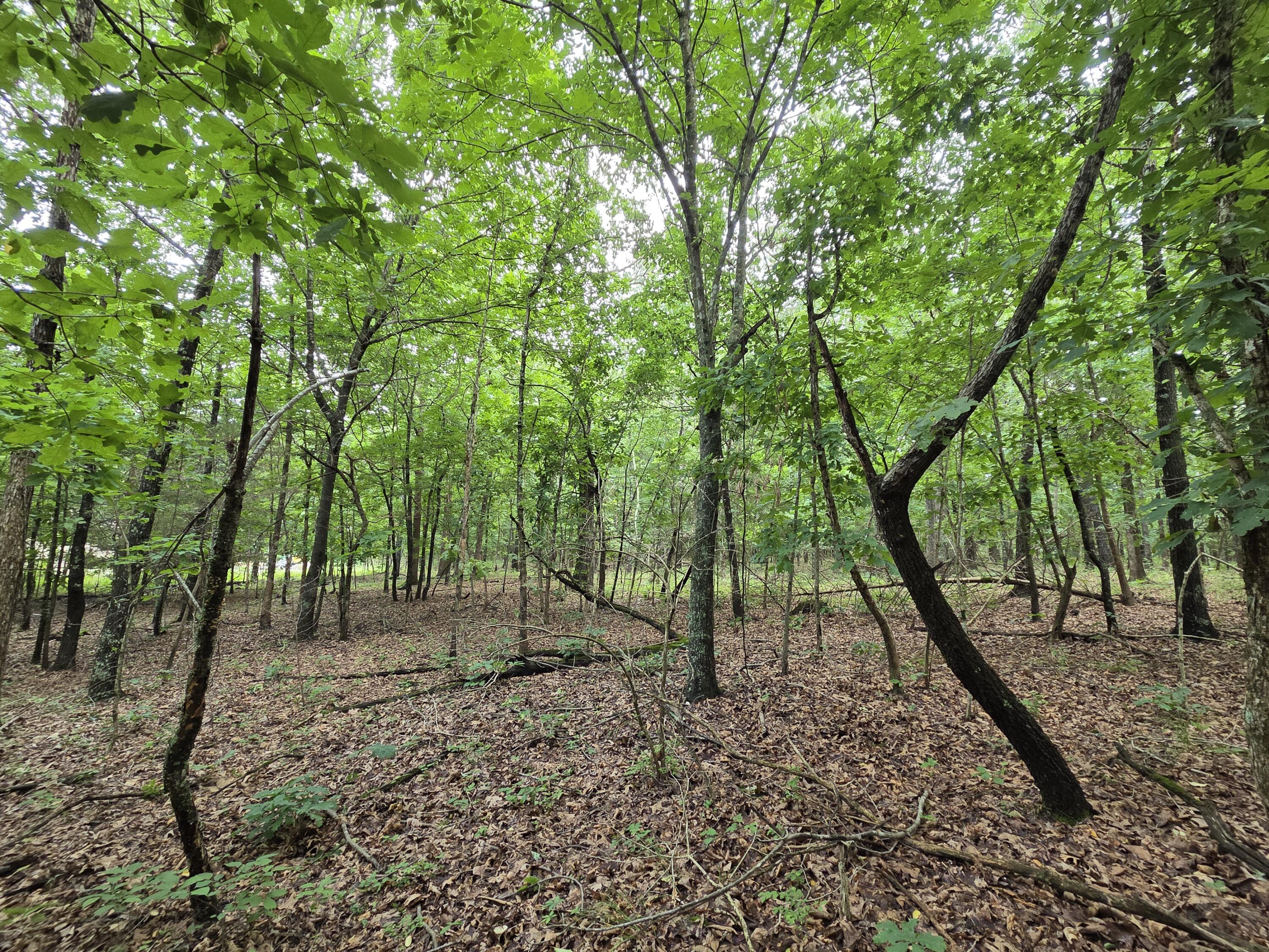 main property photo 79