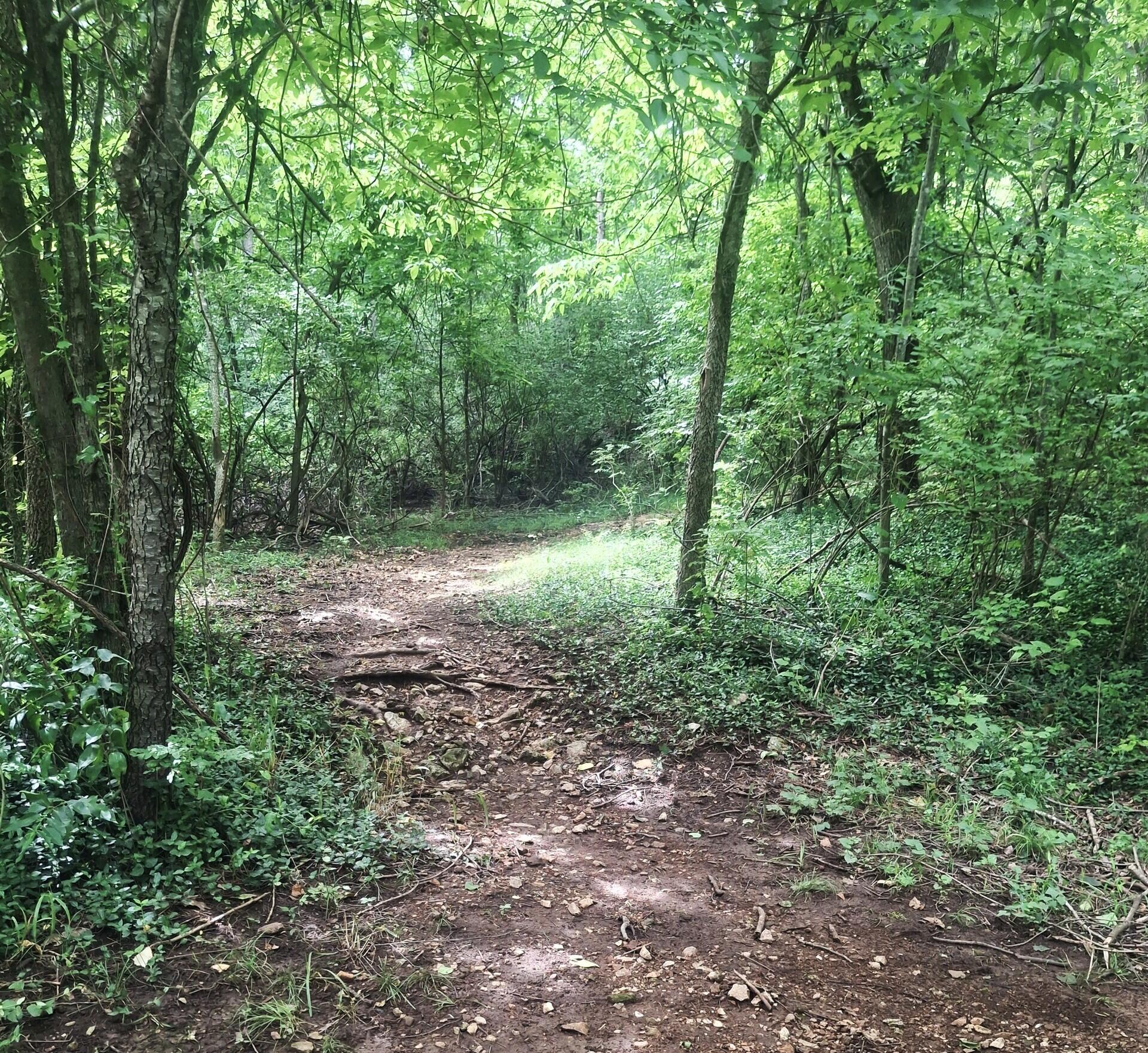 main property photo 45