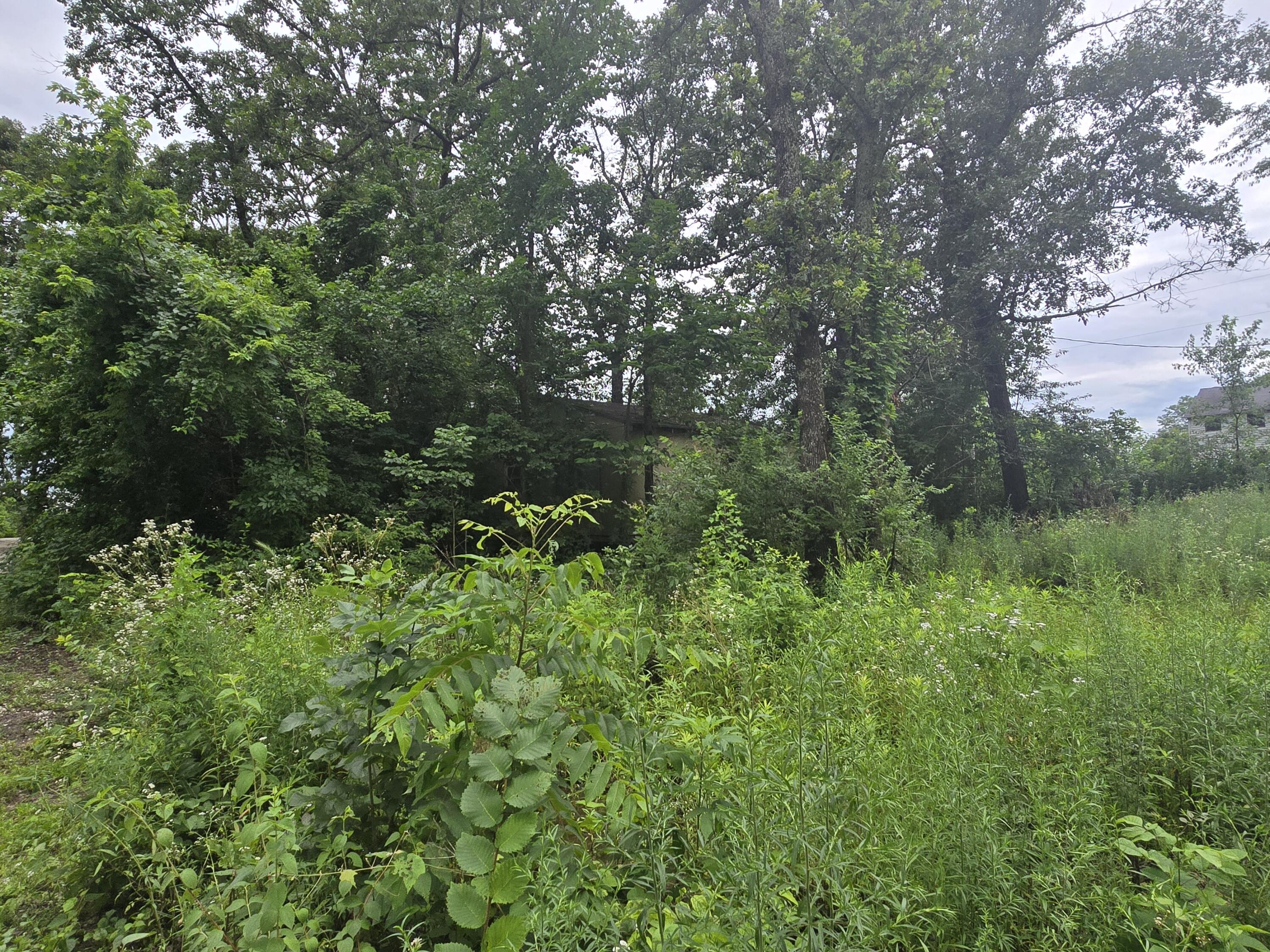 main property photo 6