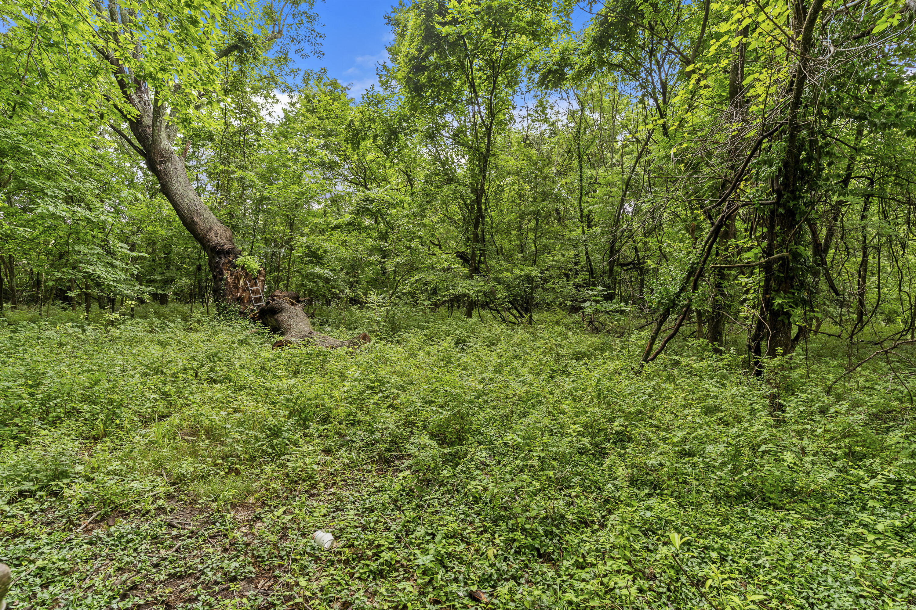 main property photo 41