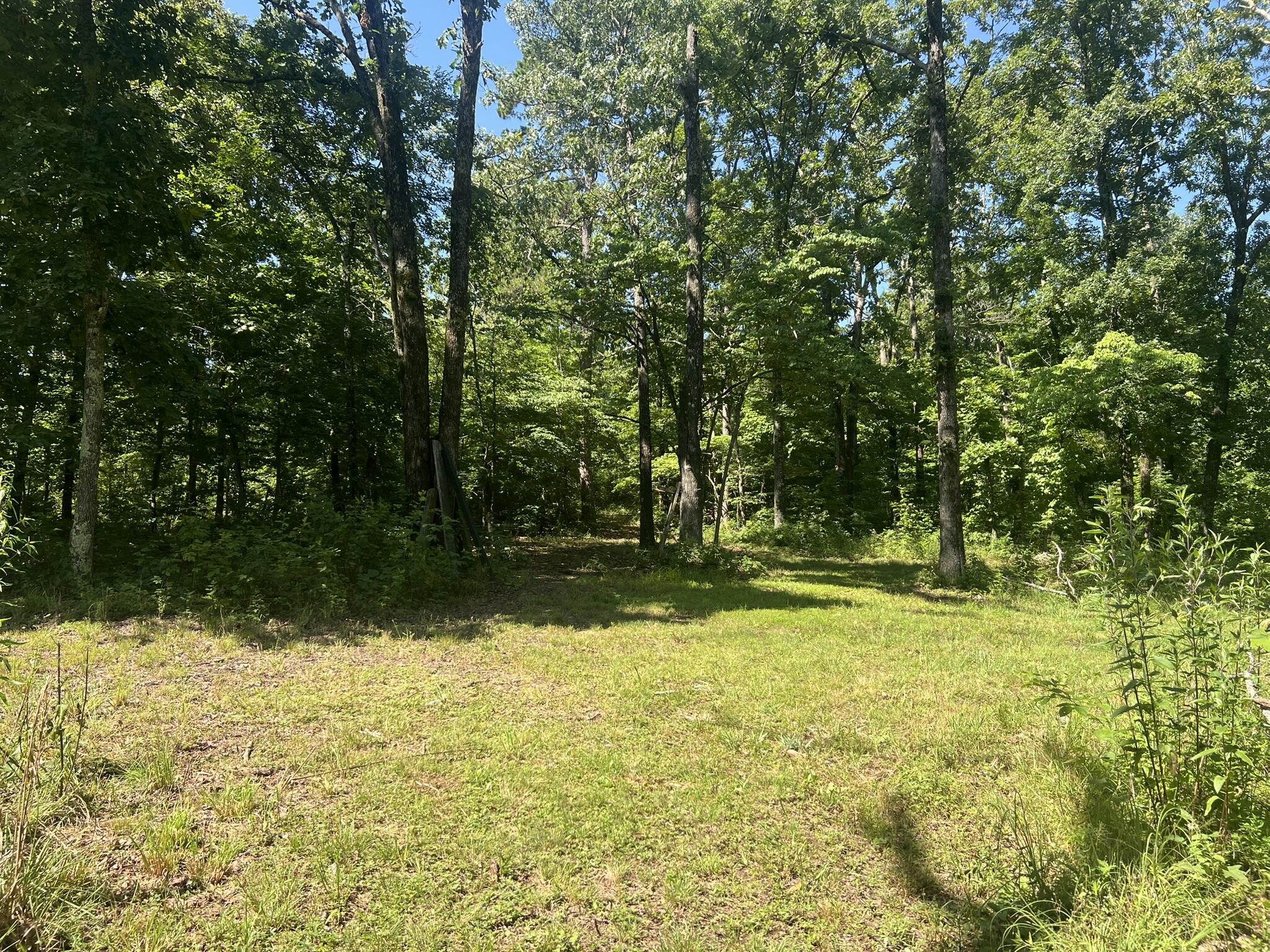 main property photo 65